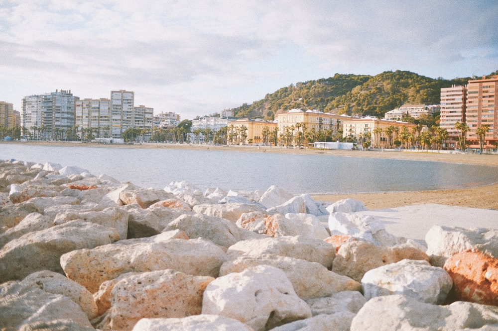 white and brown concrete building near body of water during daytime