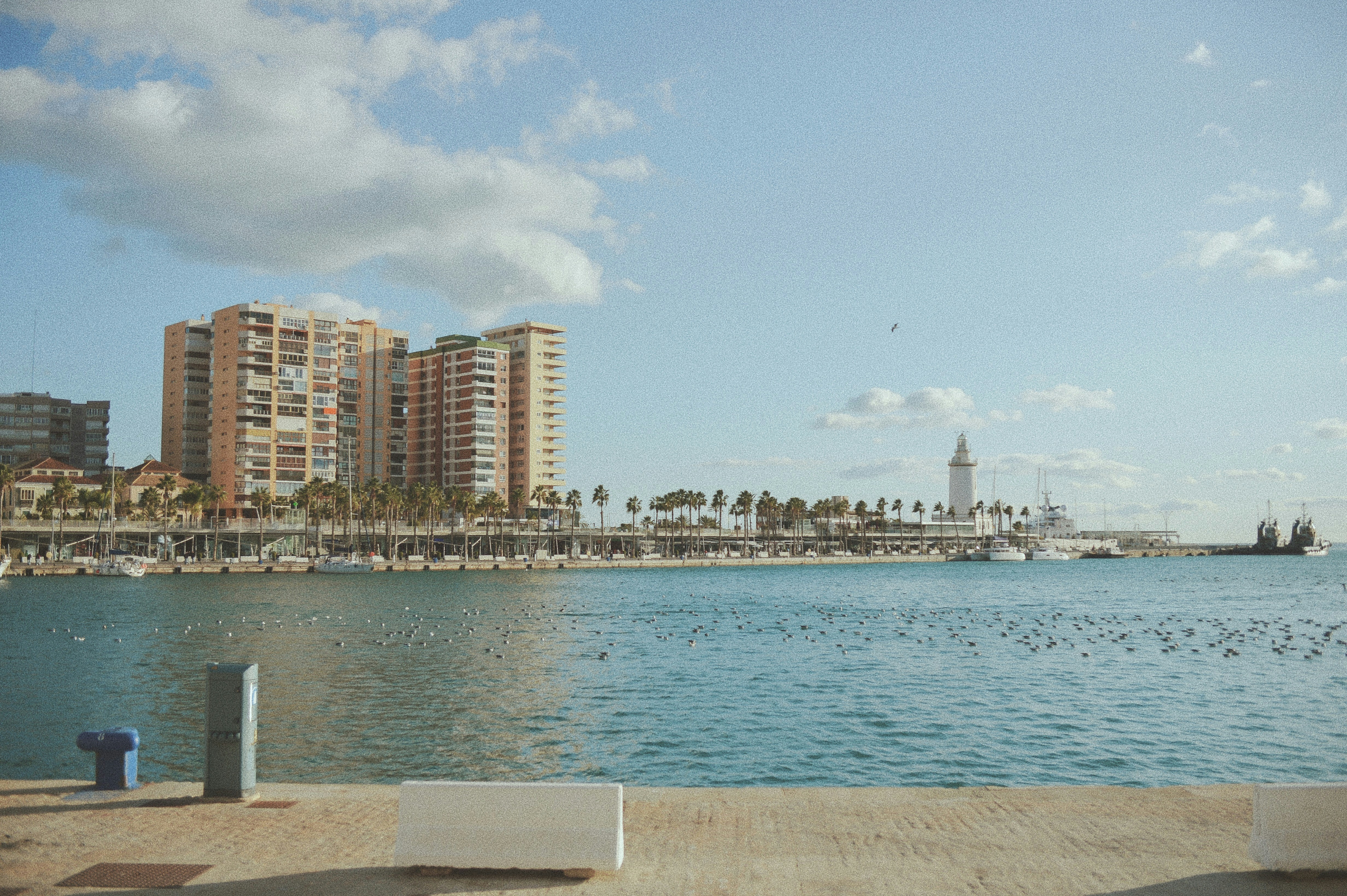 City skyline across body of water during daytime