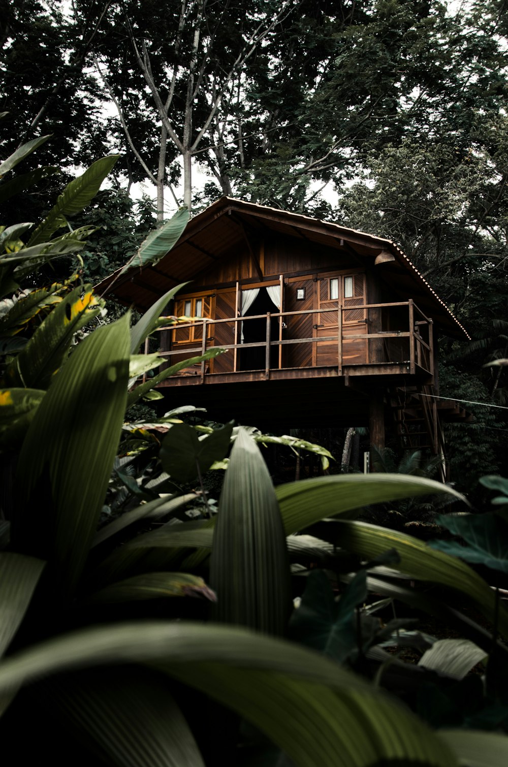 Casa de madera marrón rodeada de plantas verdes