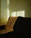 A cozy living room with sleek Solartek blinds filtering warm sunlight.