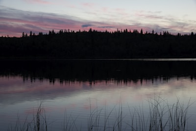 A delicate watercolor by Carin Rexranald showing subtle reflections on a calm lake surface.