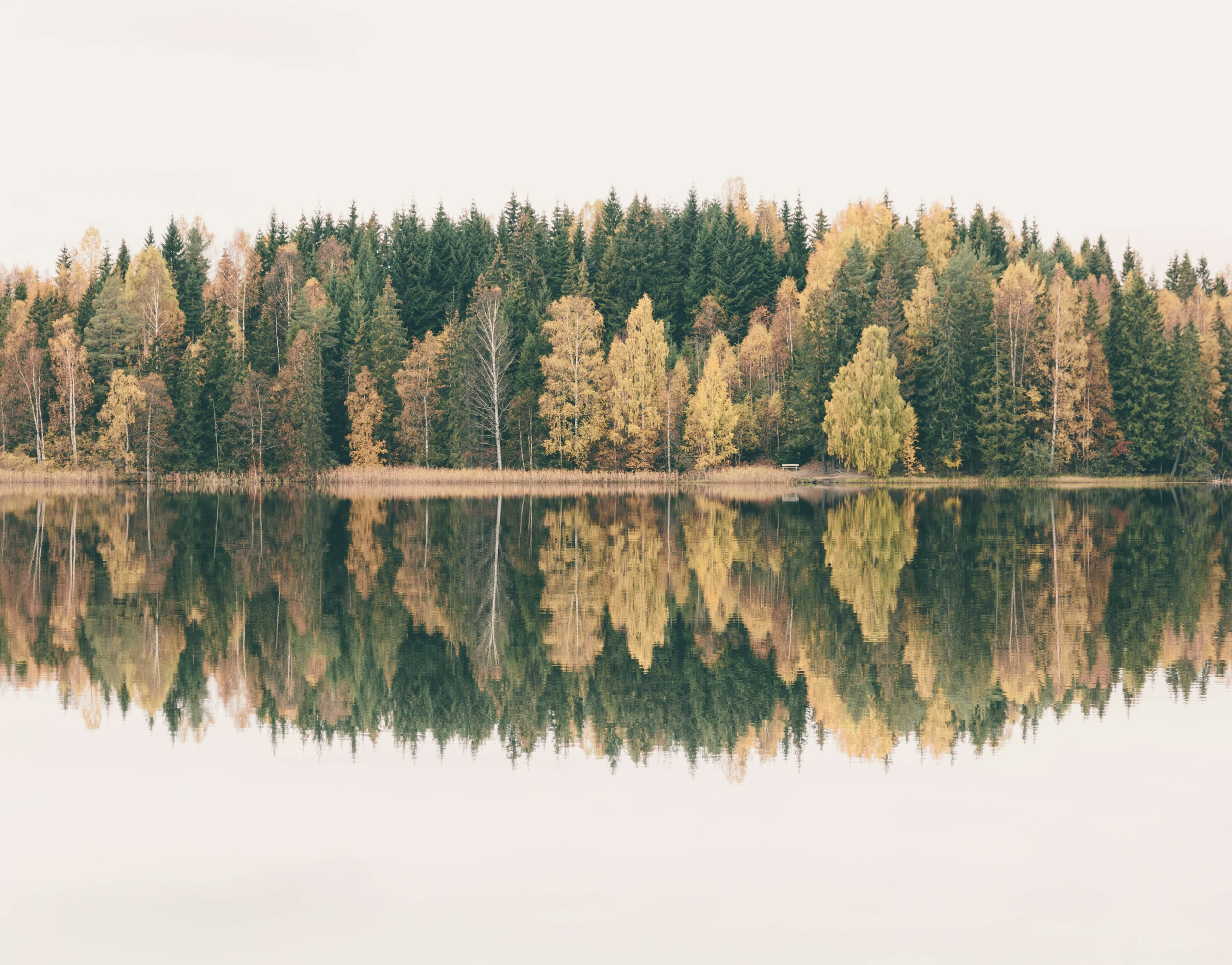 Navigating the Unique Needs of Jessheim's Booming Industries: A Guide for SaaS Providers