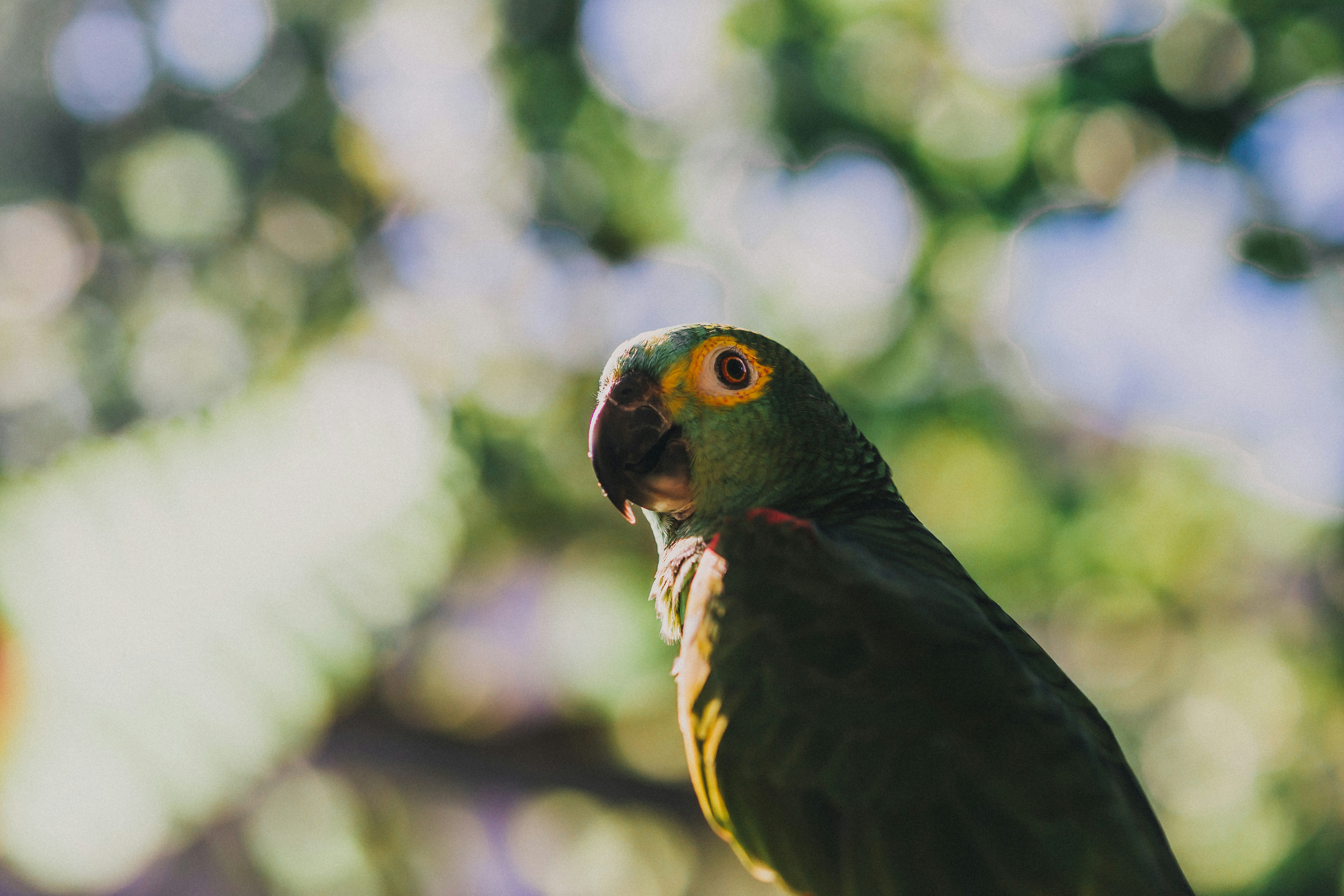 Photo by dougglaslopez