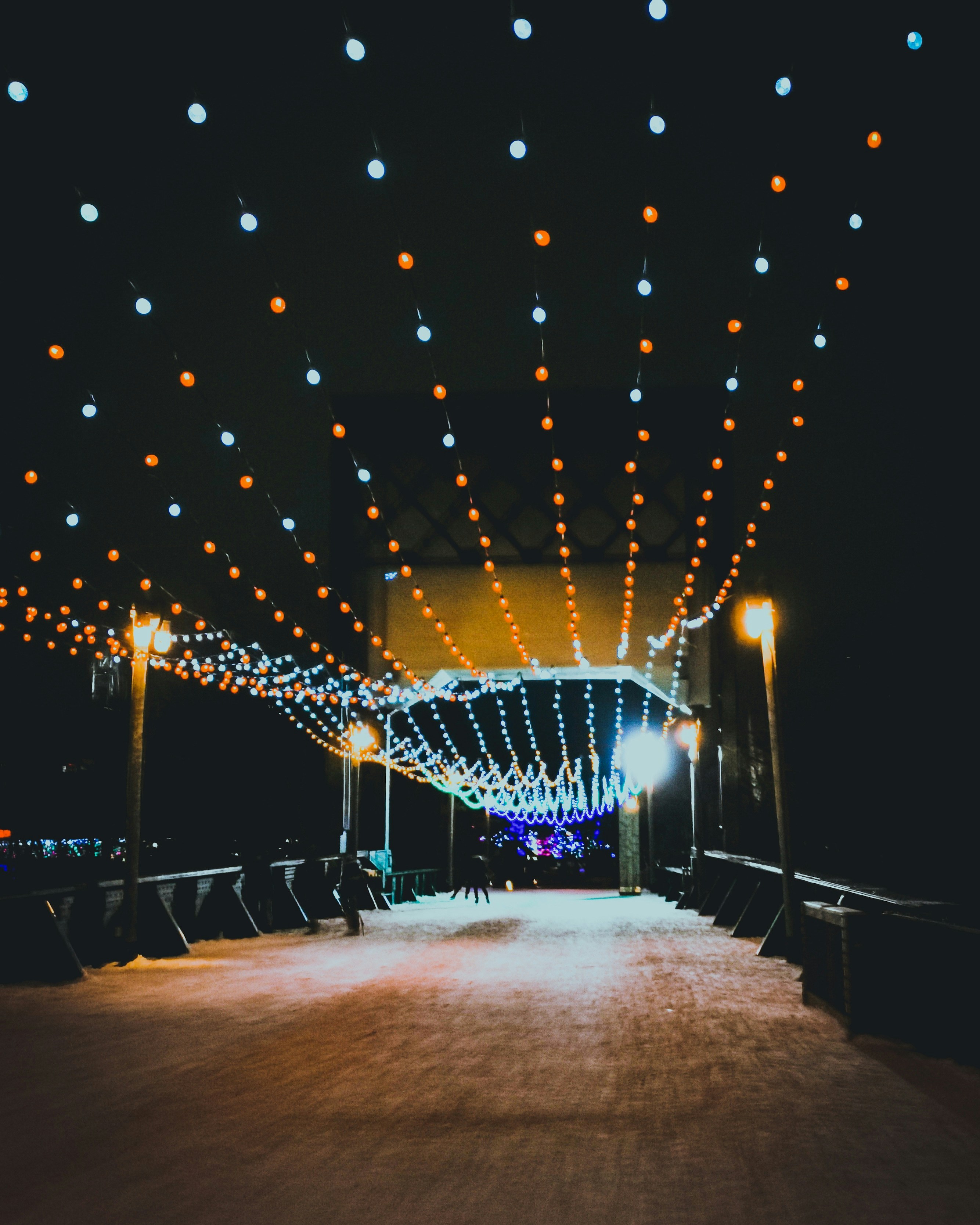 Photo by brysonostepchuk