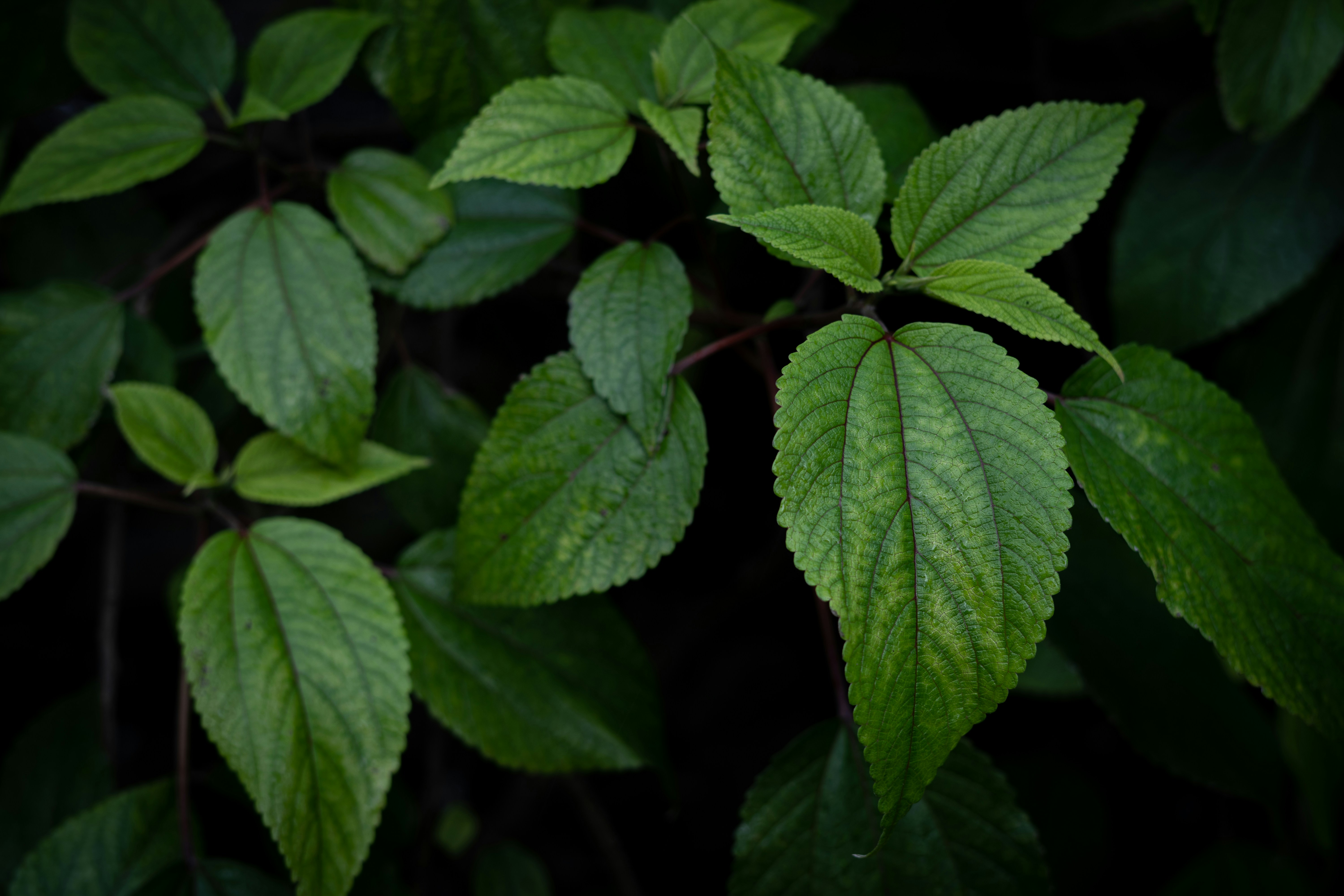 Photo by alexgoesglobal