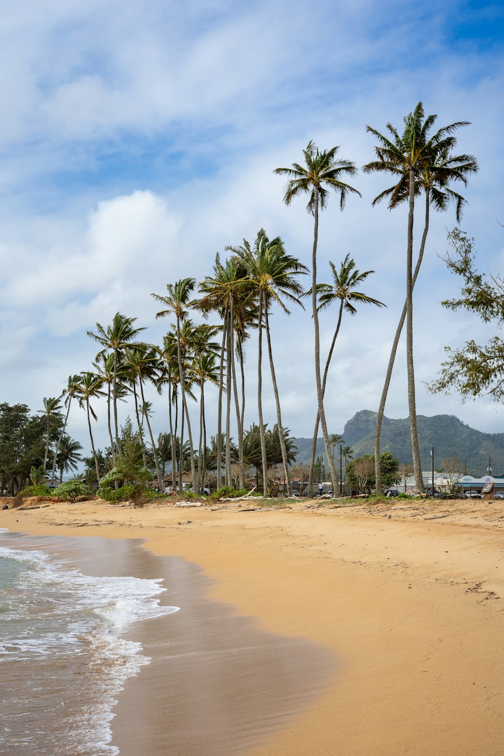 people on beach during daytime