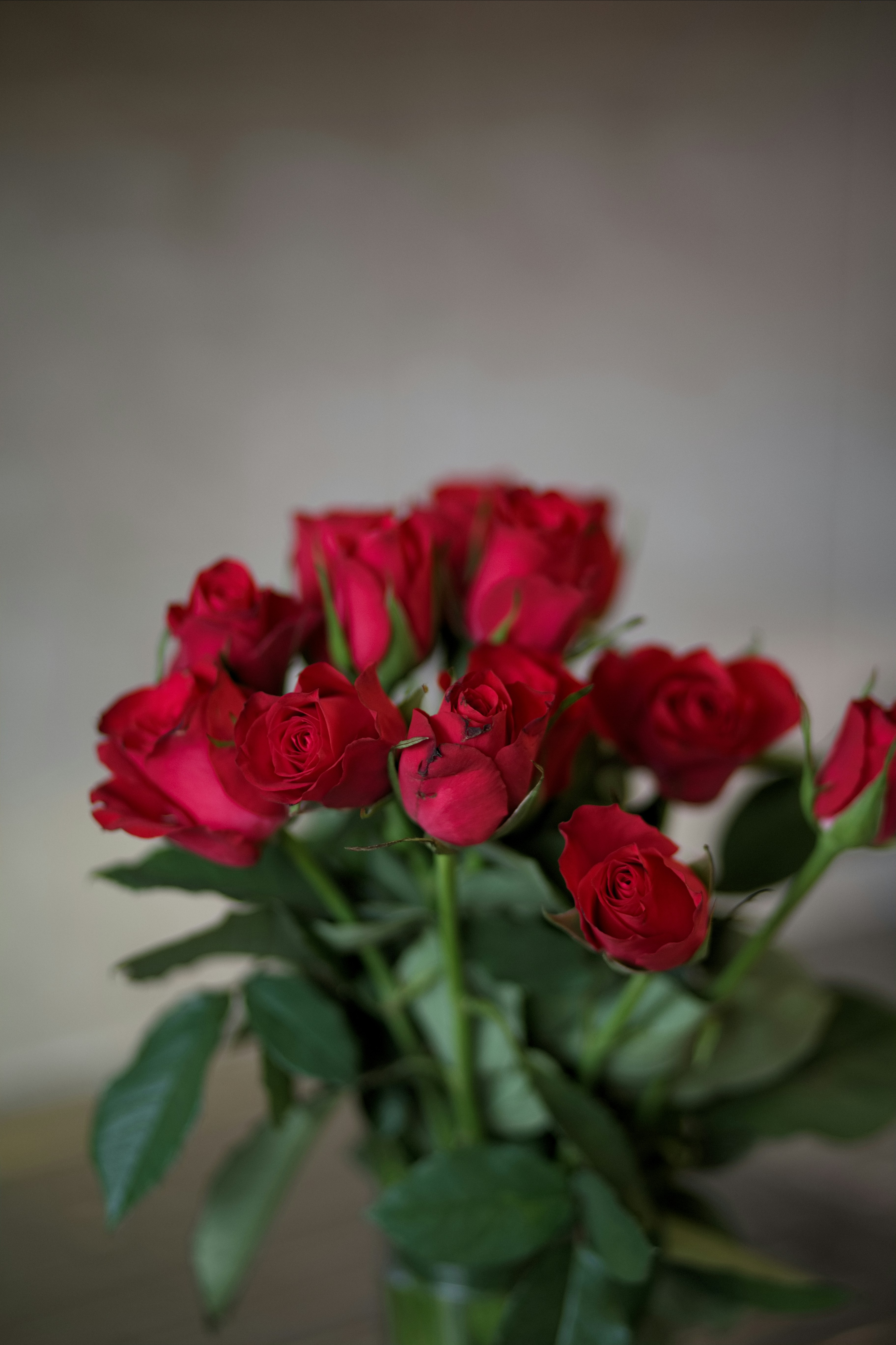 Ramo de Rosas