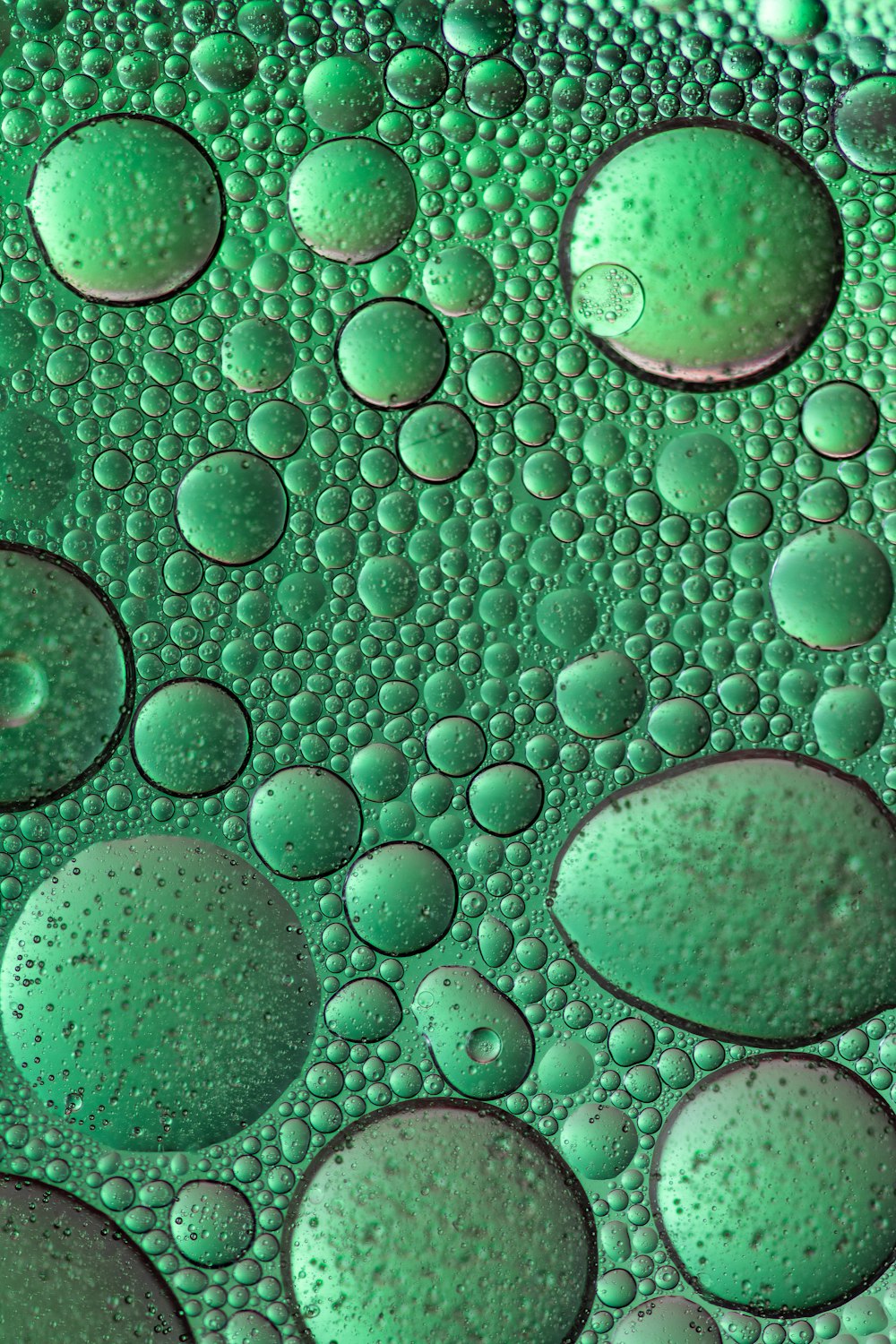 Wassertröpfchen auf grüner Oberfläche