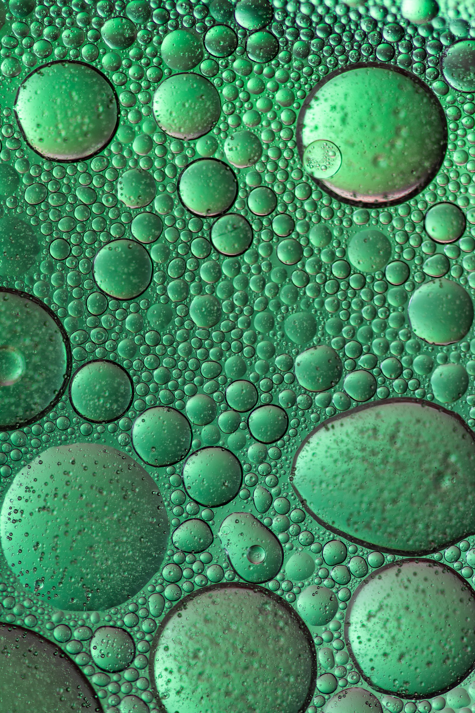 Sigma 105mm F2.8 EX DG OS HSM sample photo. Water droplets on green photography