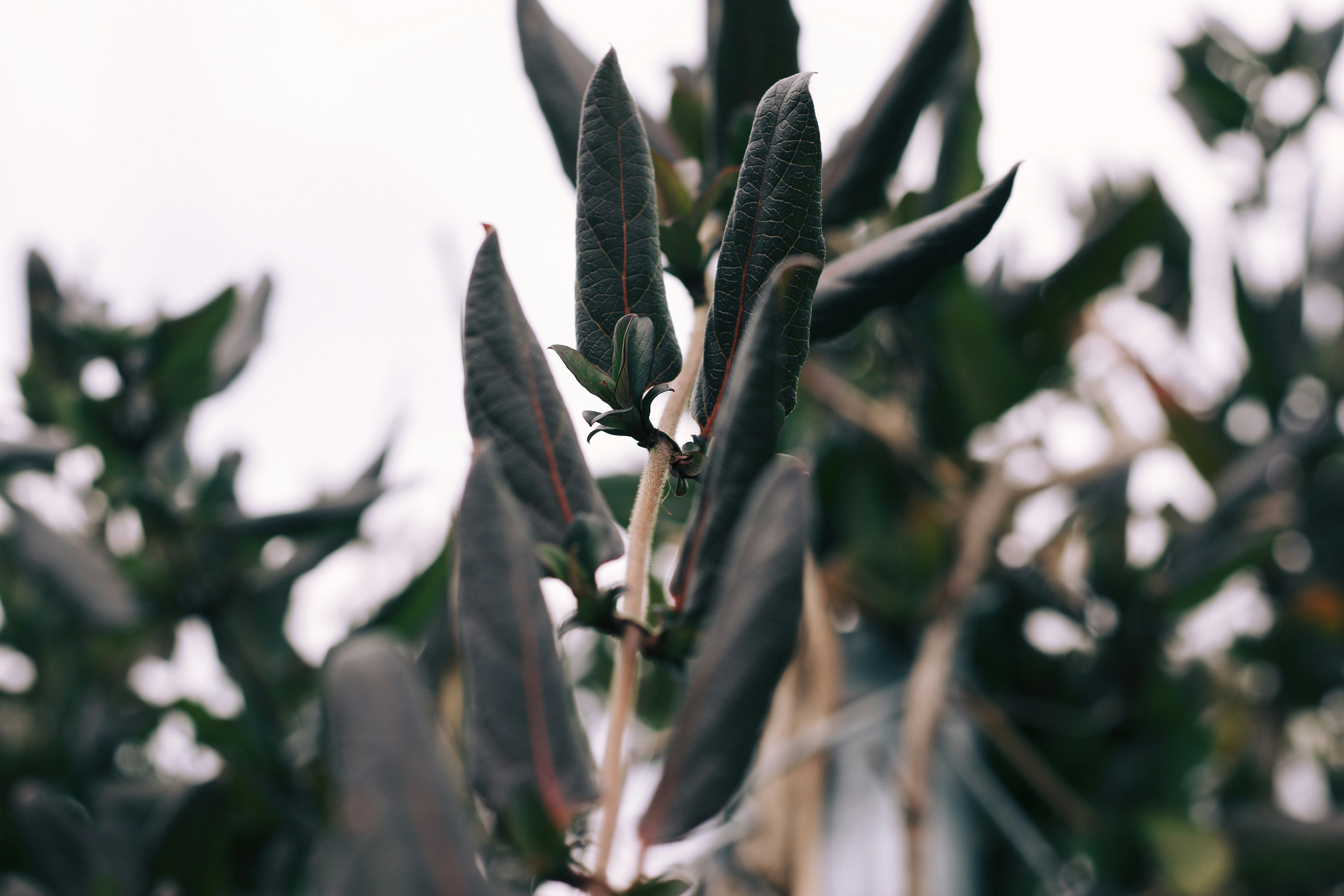 Photo by mrperfect229