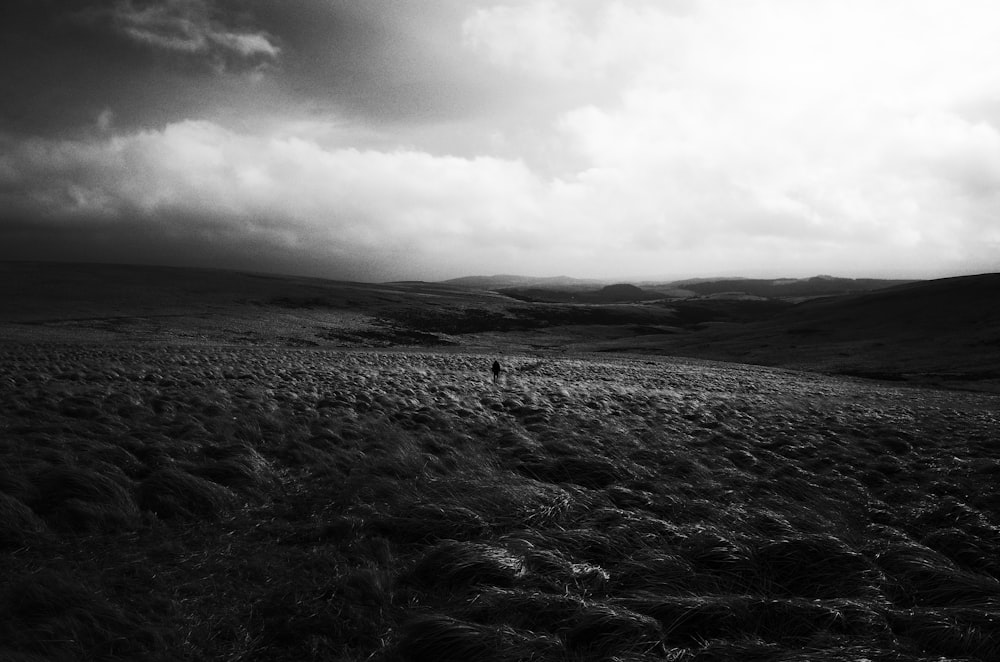 grayscale photo of a field