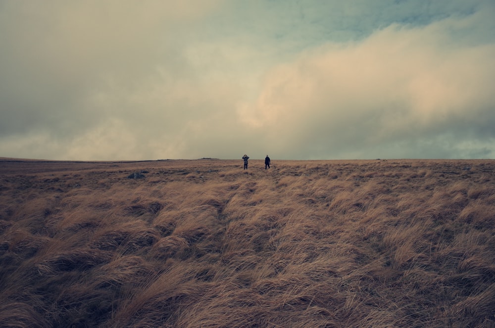 2 person walking on brown field under white clouds