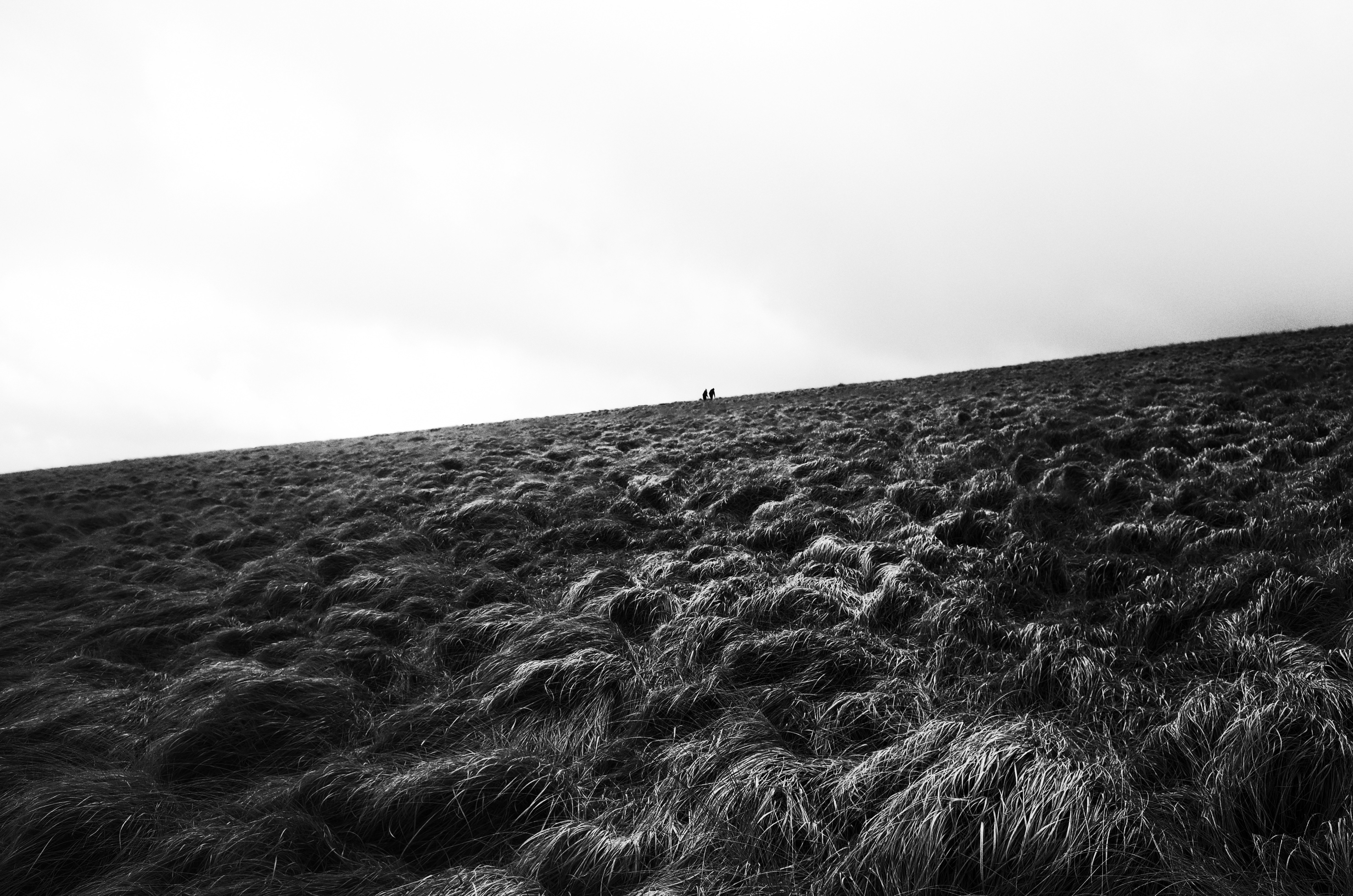 Photo by tomasrobertson