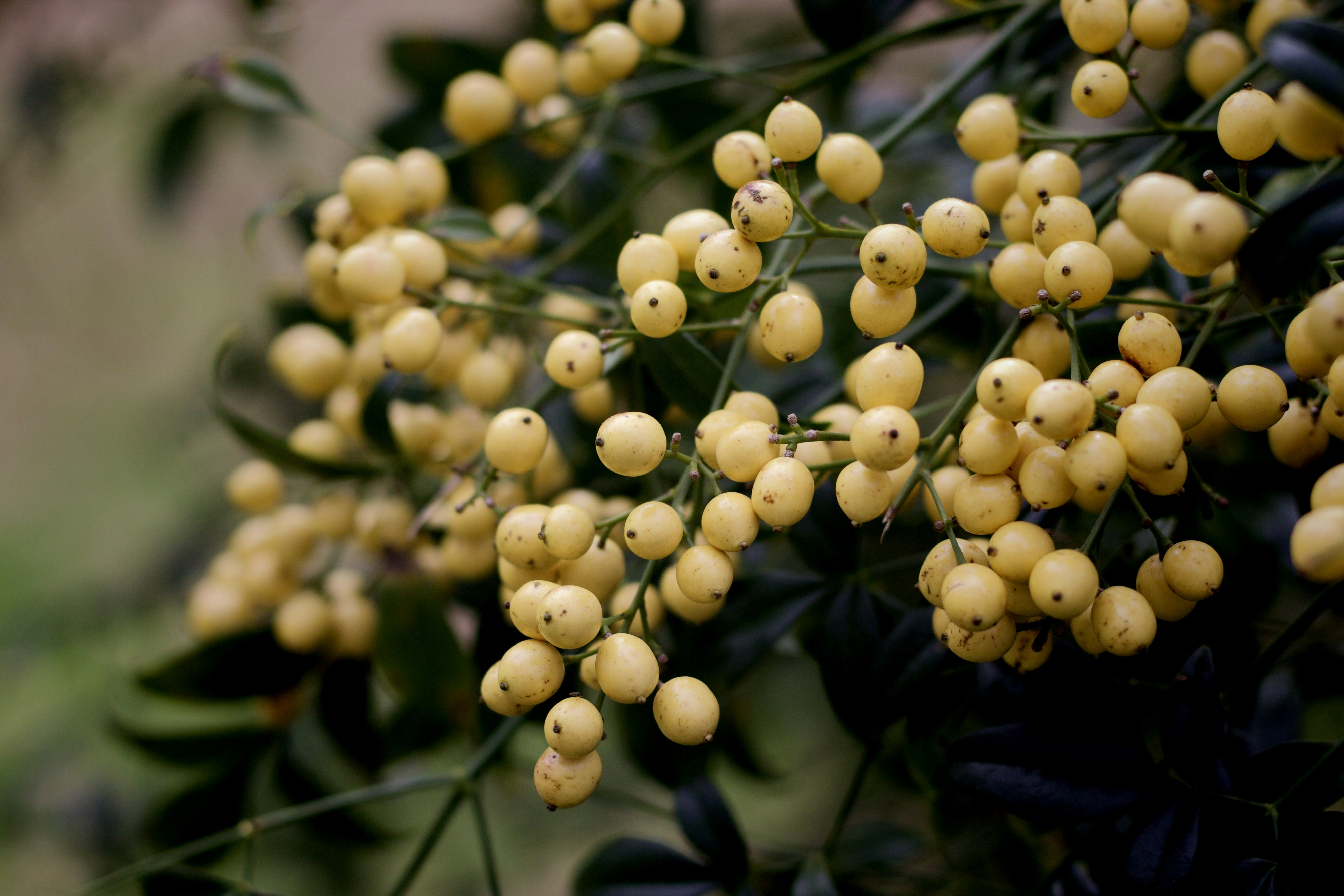 Photo by mrperfect229