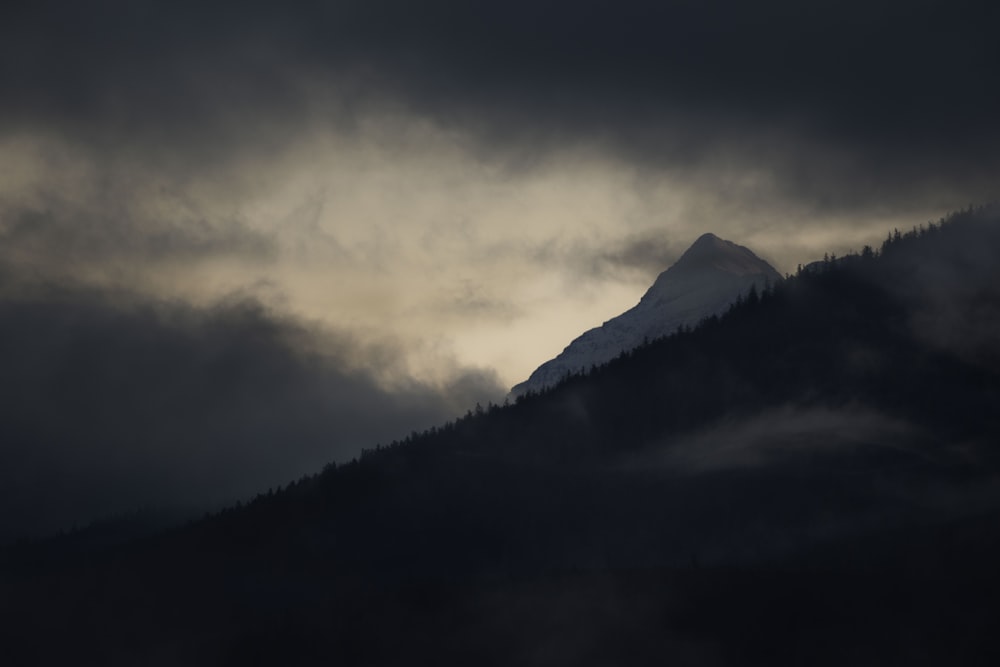 green trees and mountain under white clouds