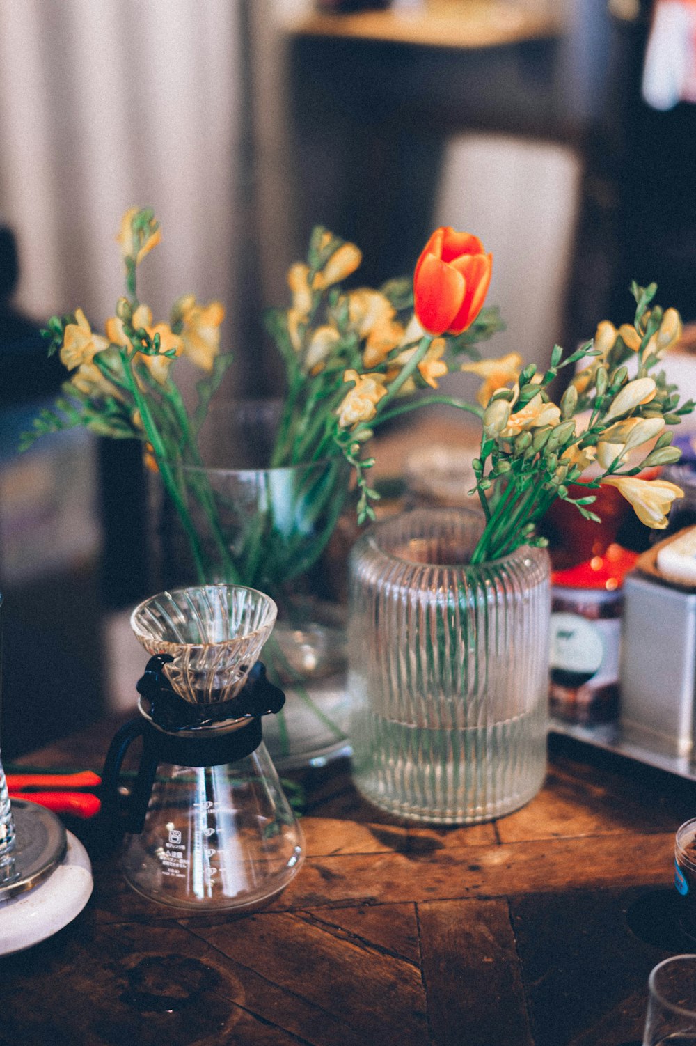 orange tulips in clear glass vase