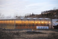 A series of greenhouses with illuminated interiors surrounded by a natural landscape including bare trees and hills. Several large white containers are lined up outside, and dry grass covers the ground.
