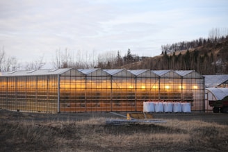 A series of greenhouses with illuminated interiors surrounded by a natural landscape including bare trees and hills. Several large white containers are lined up outside, and dry grass covers the ground.