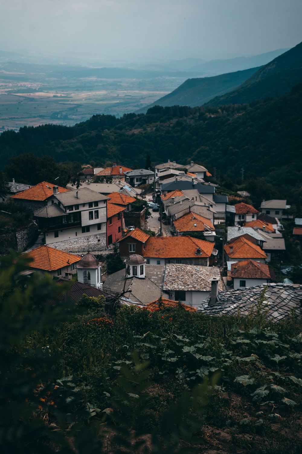 산에 갈색과 흰색 집