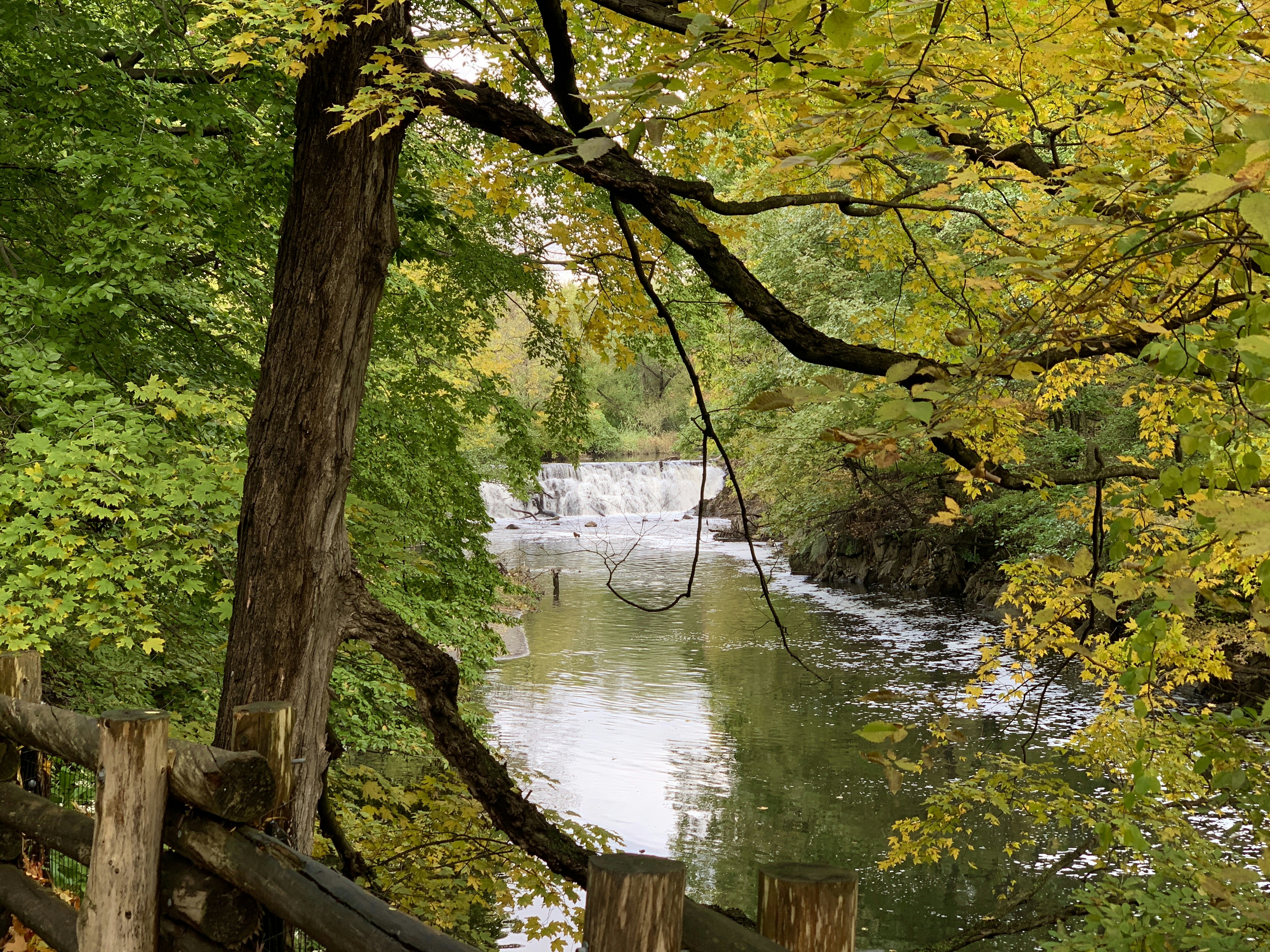 Annie Street Park