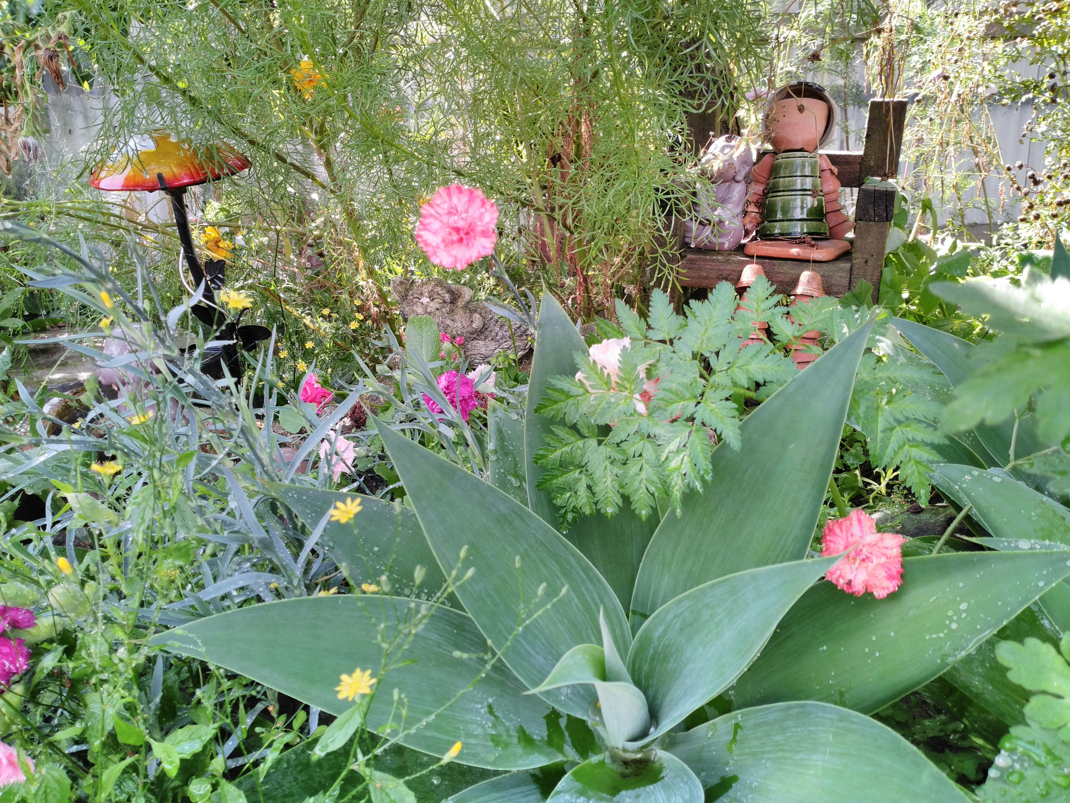 Magic Garden Adventure