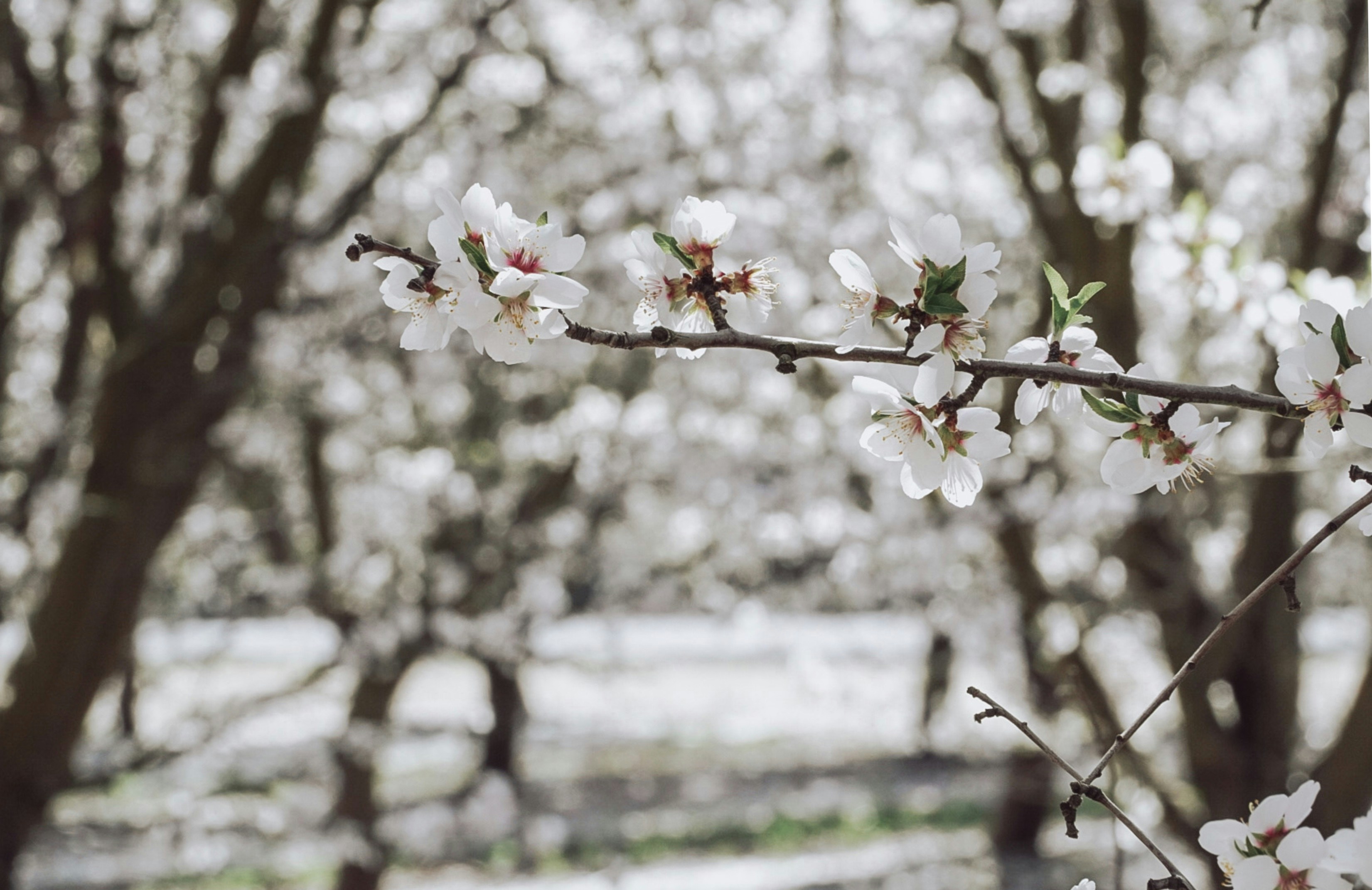 Photo by thalia_s_ruiz