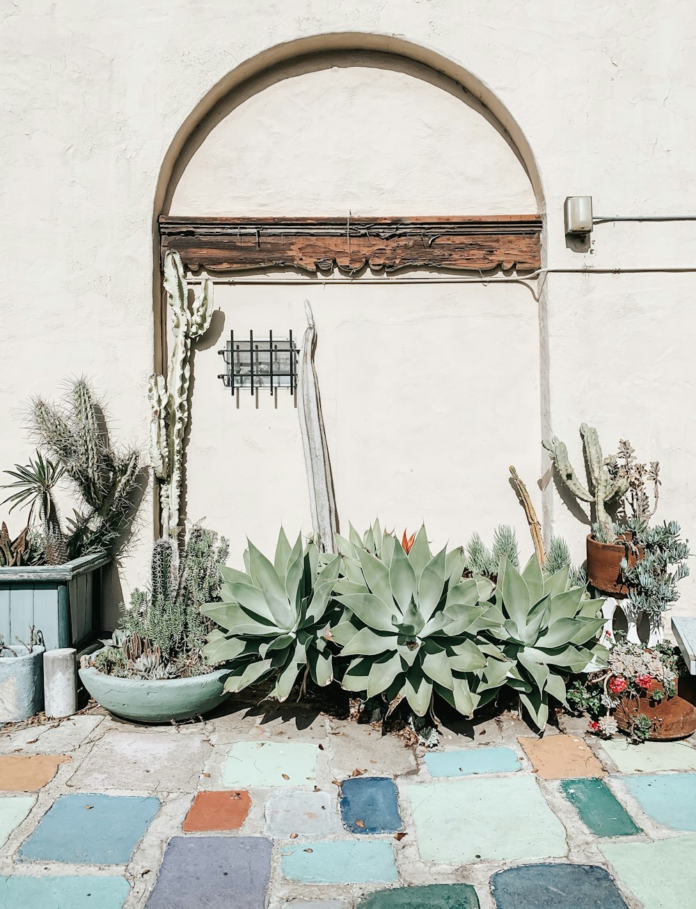 green plants on brown woven basket