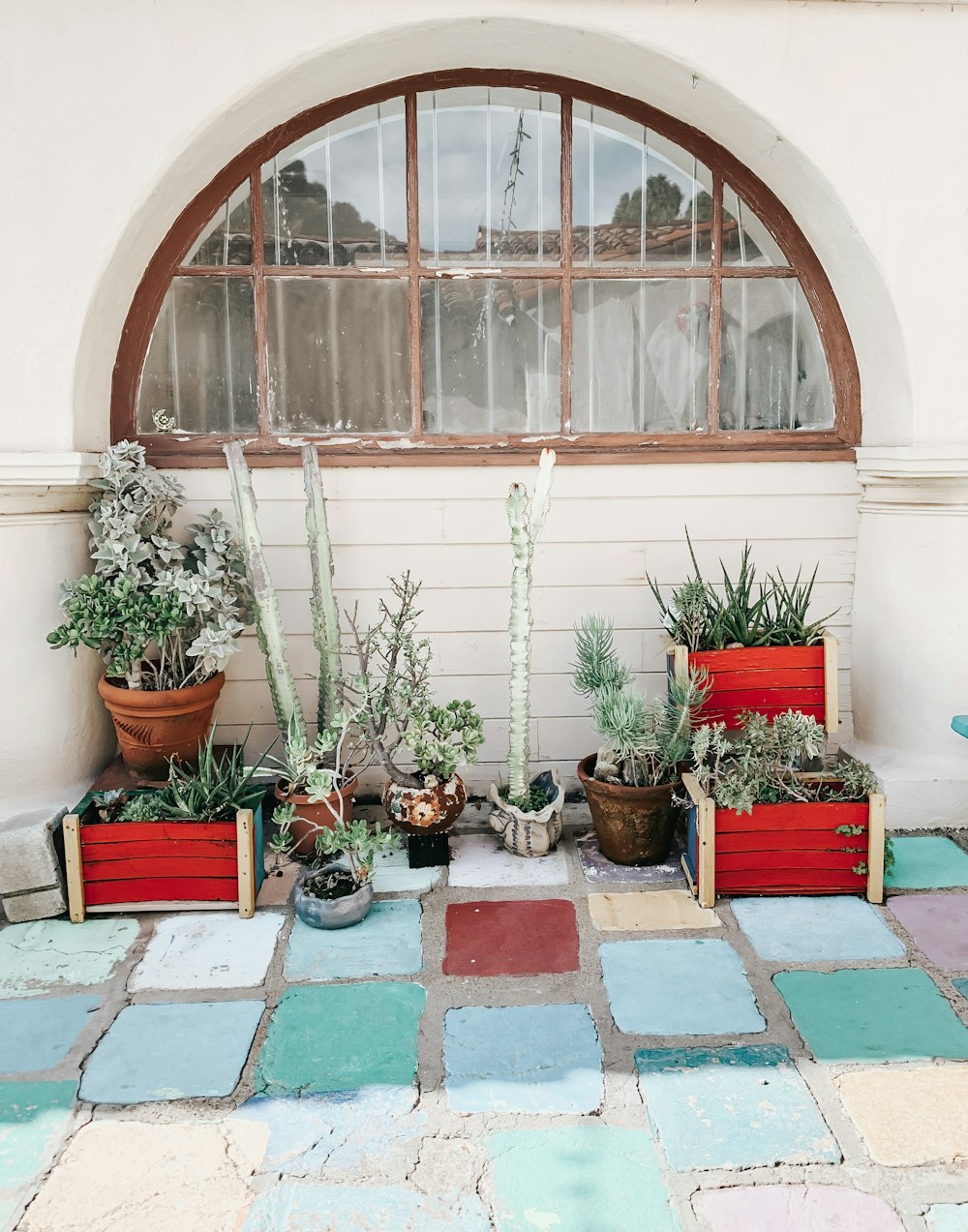 green potted plants on red and white ceramic tiles