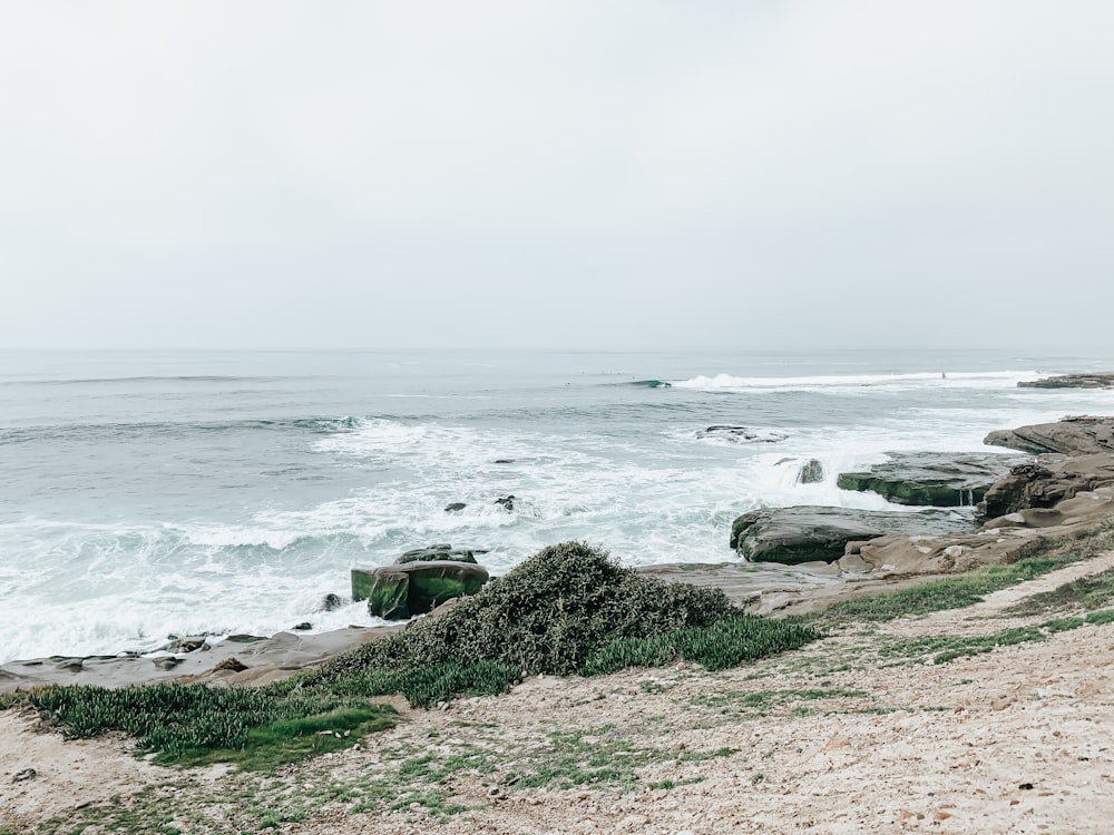 ocean waves crashing on shore during daytime