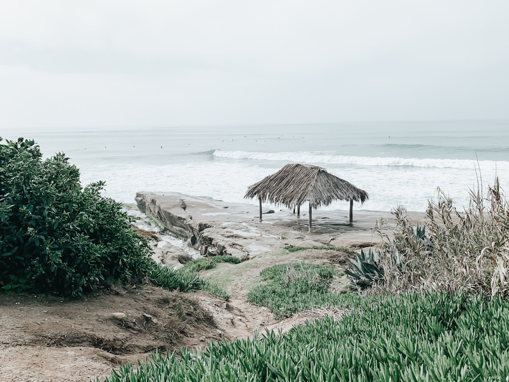 brown wooden house on seashore during daytime