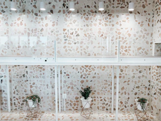 green potted plant on white wooden table