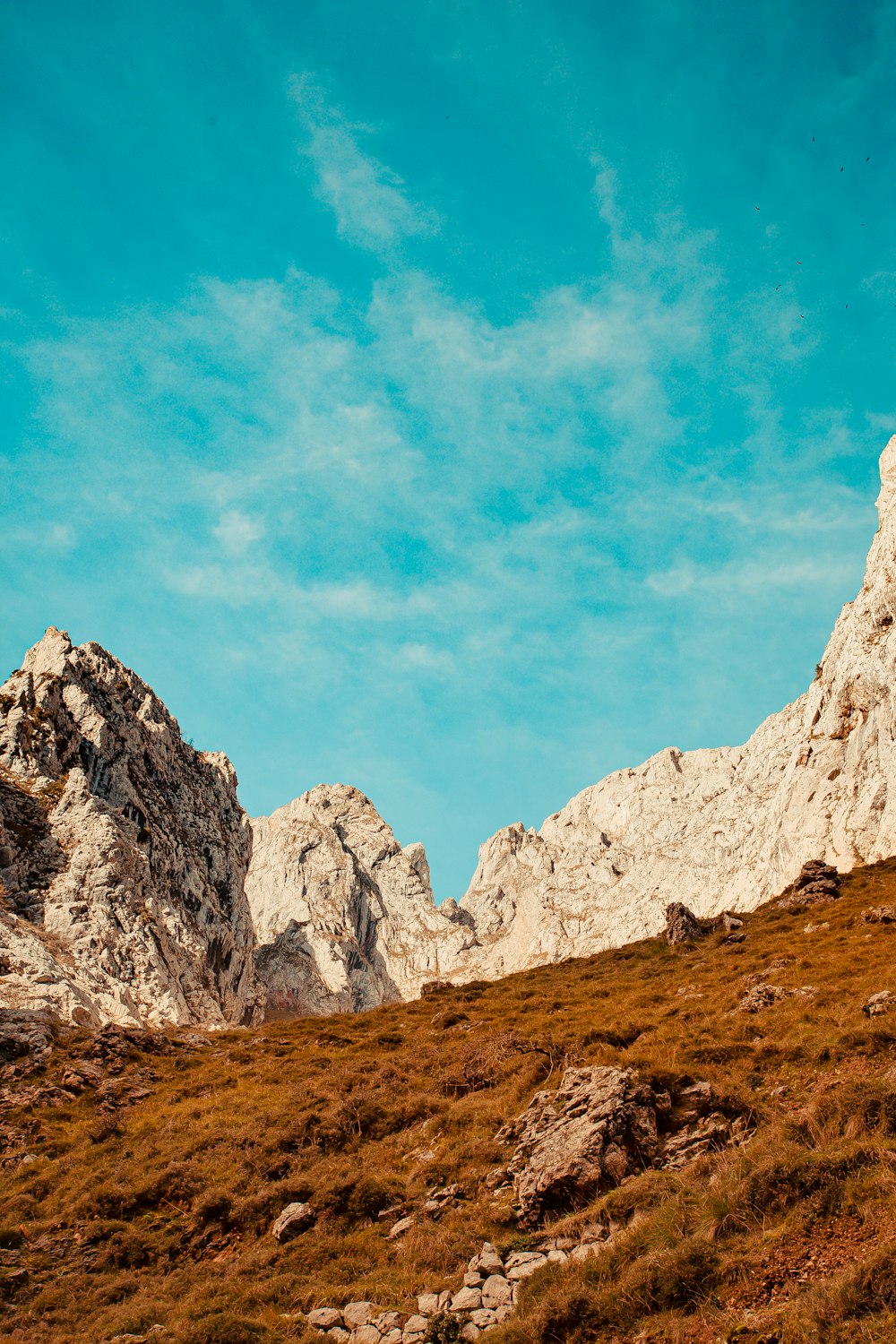 rocky mountain under blue sky during daytime