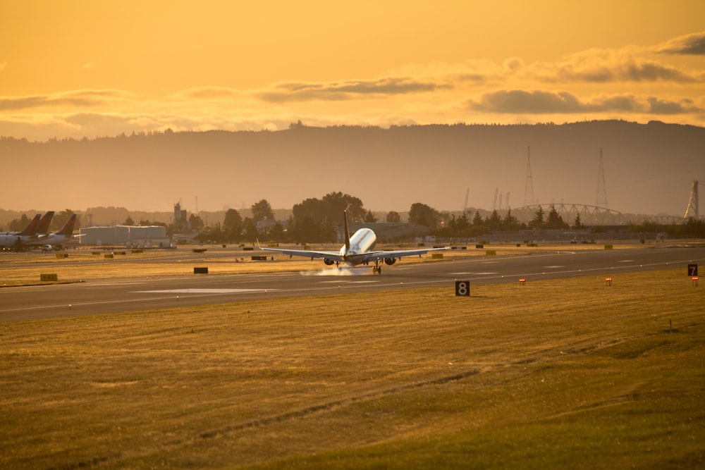 white airplane on the field during sunset