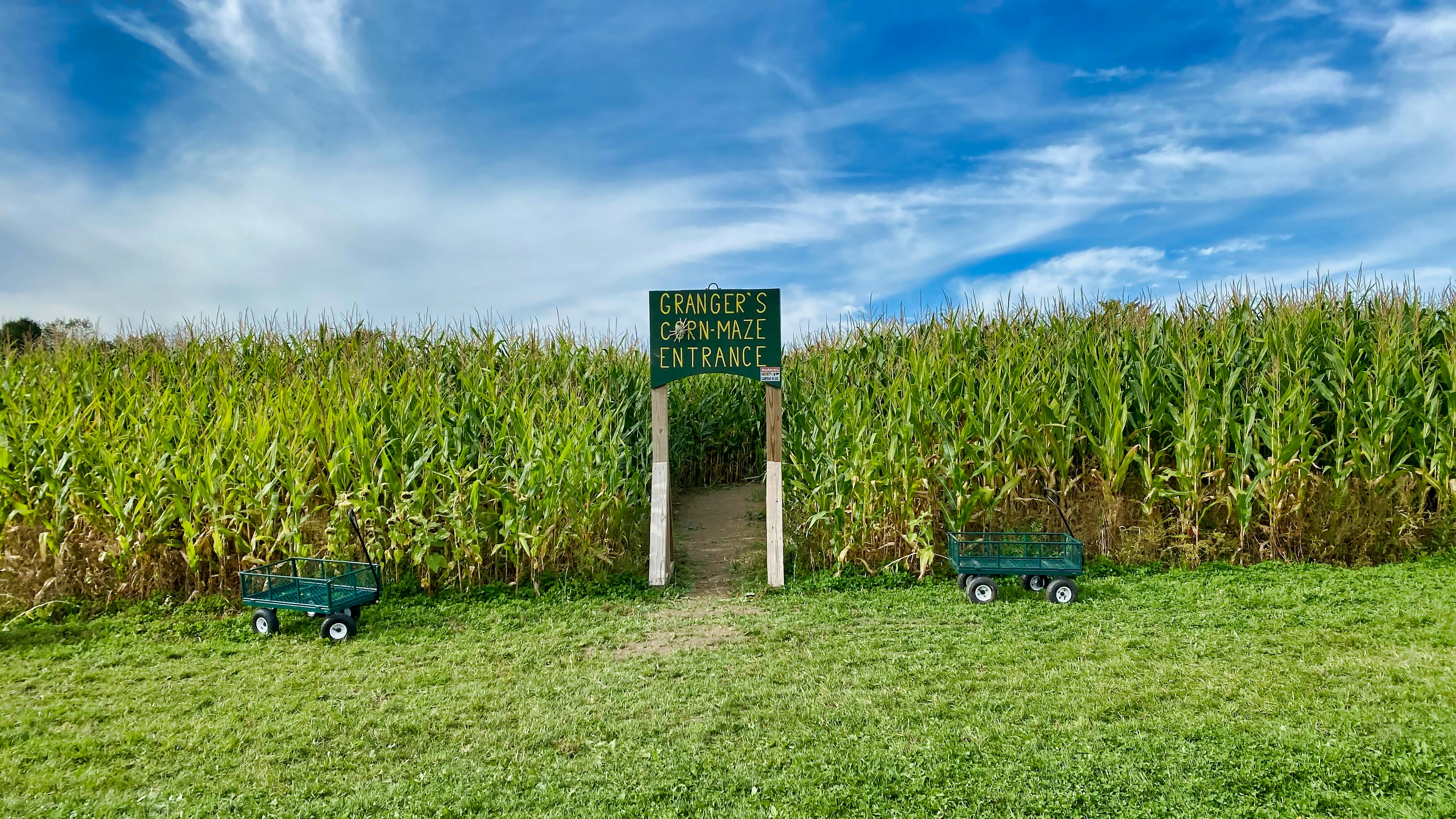 Green and white wooden signage photo Free Granger's christmas tree