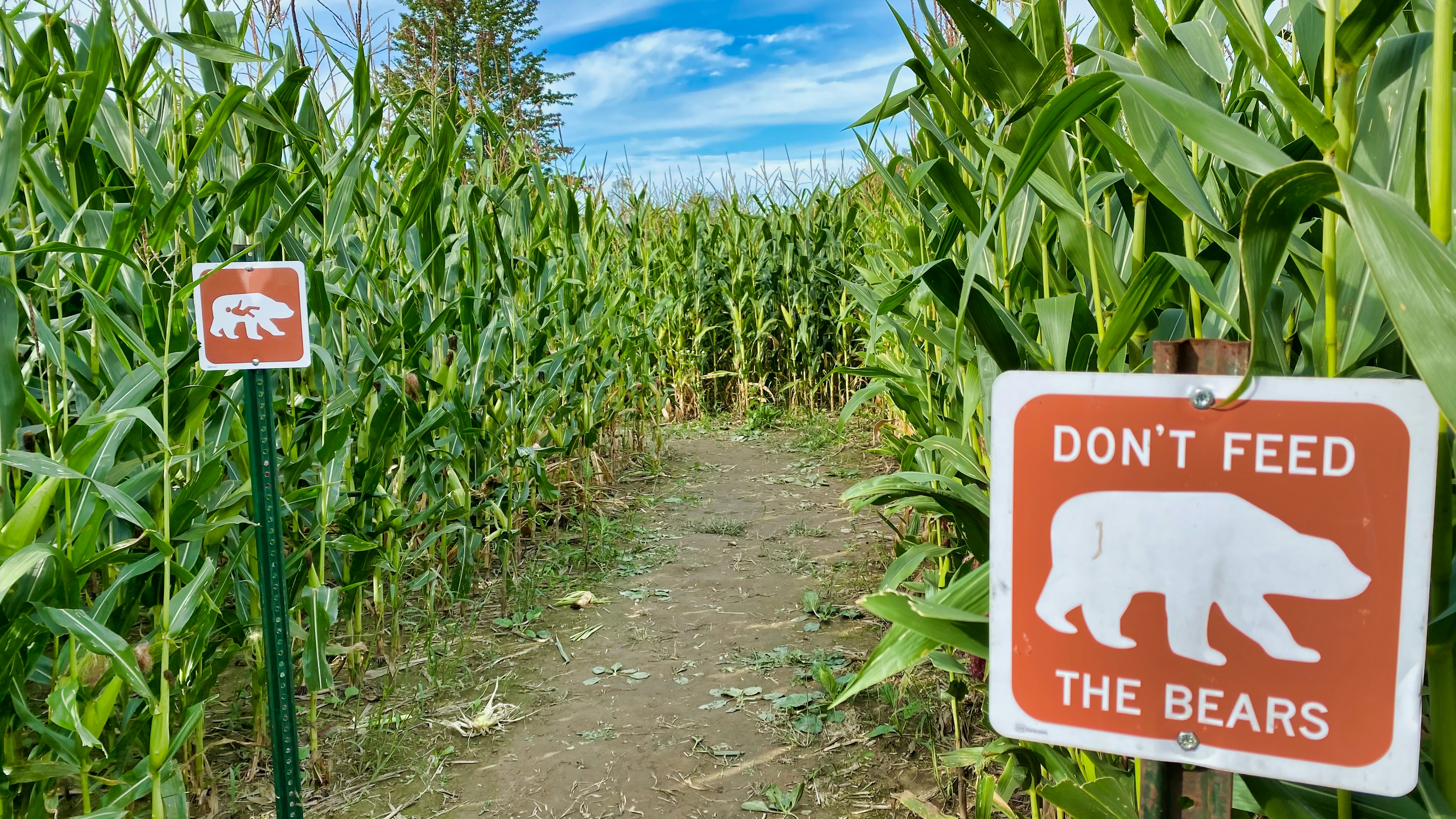 White and red no smoking sign photo Free Tubbs road Image on Unsplash