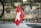 red and white sail boat on water near city buildings during daytime