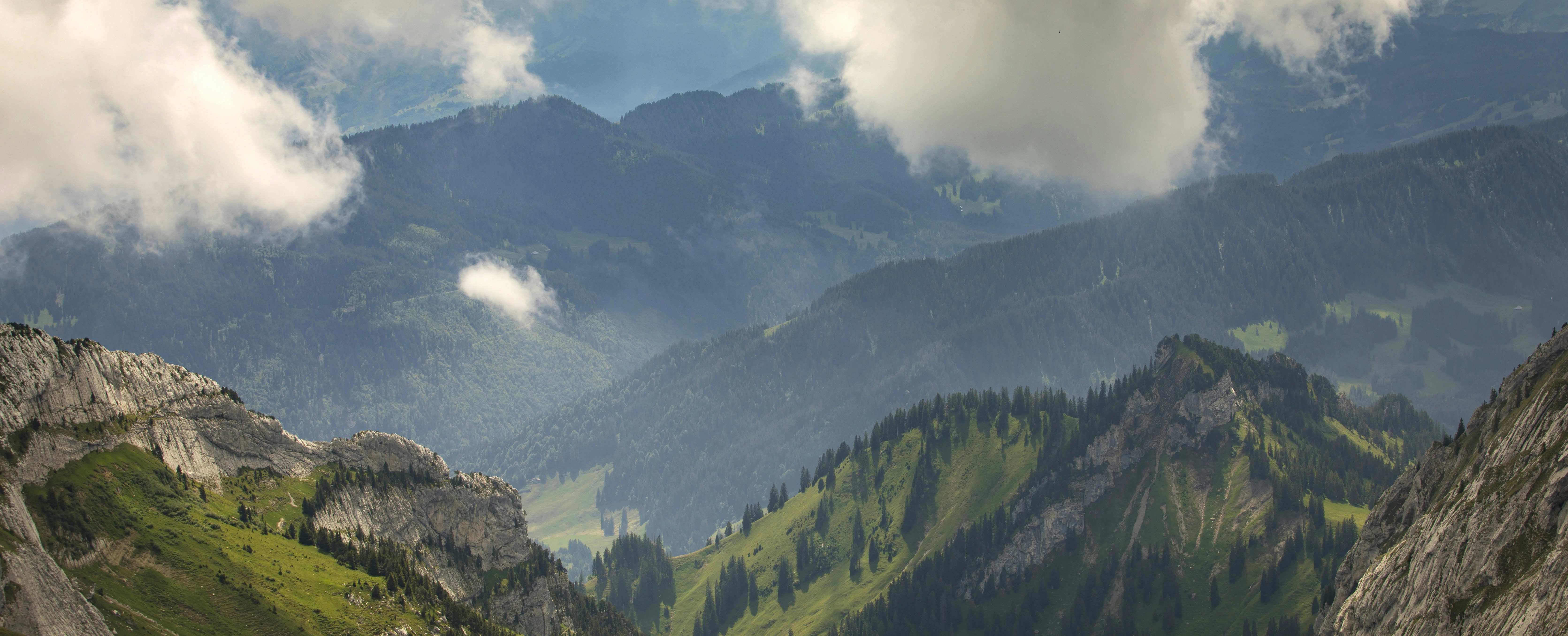 Photo by leo_visions_