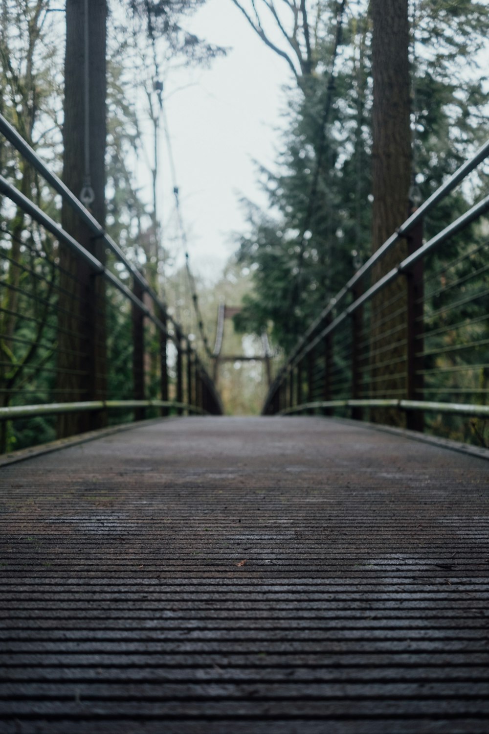 Braune Holzbrücke tagsüber