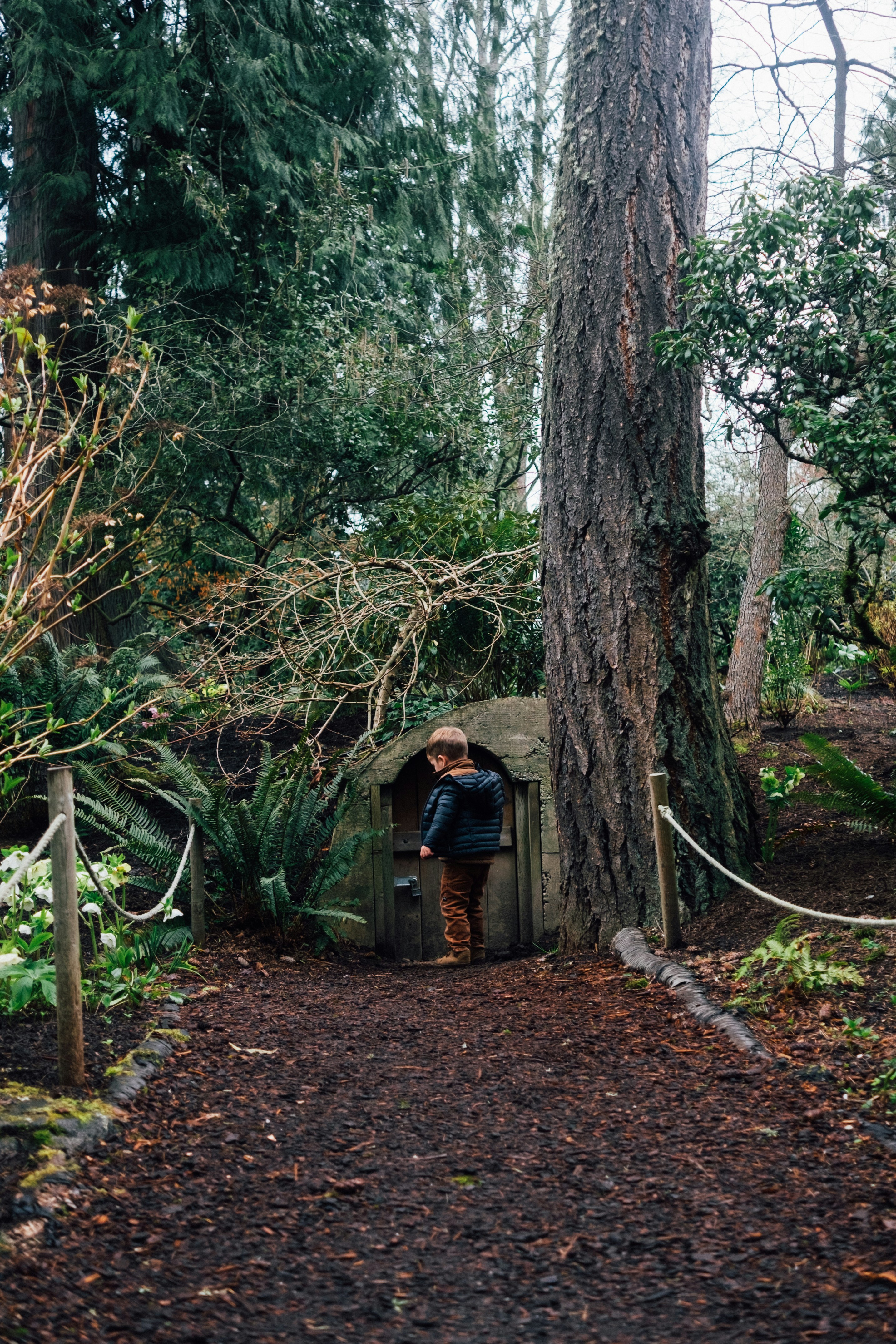 woman in black jacket and blue denim jeans standing beside brown tree during daytime