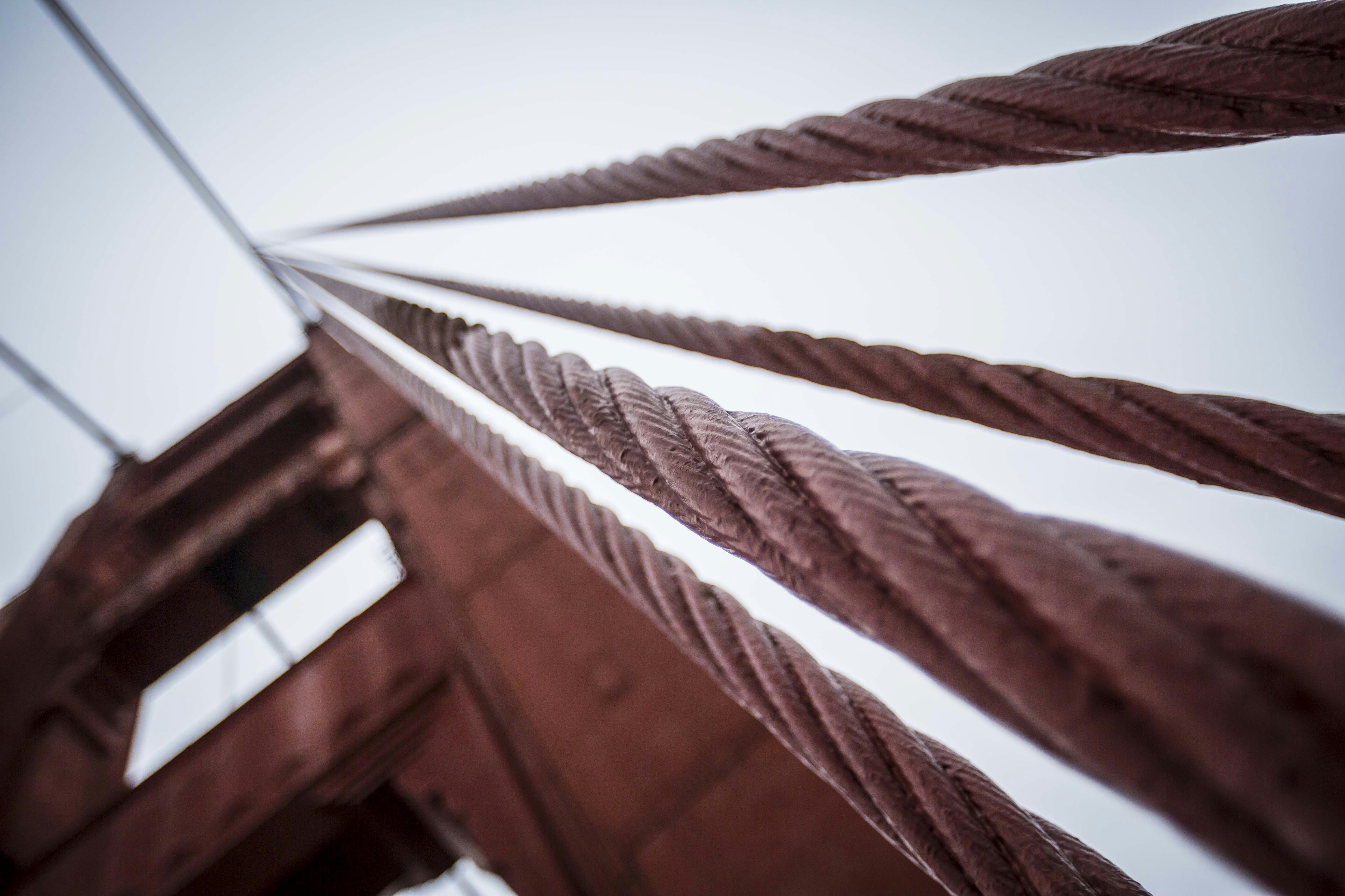 Photo by leo_visions_