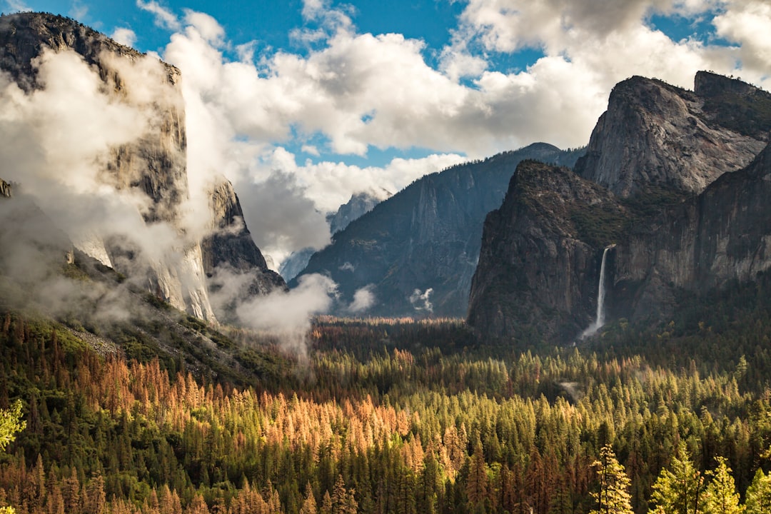 Mark Your Calendars: Yosemite to Require Reservations on These Dates in 2024