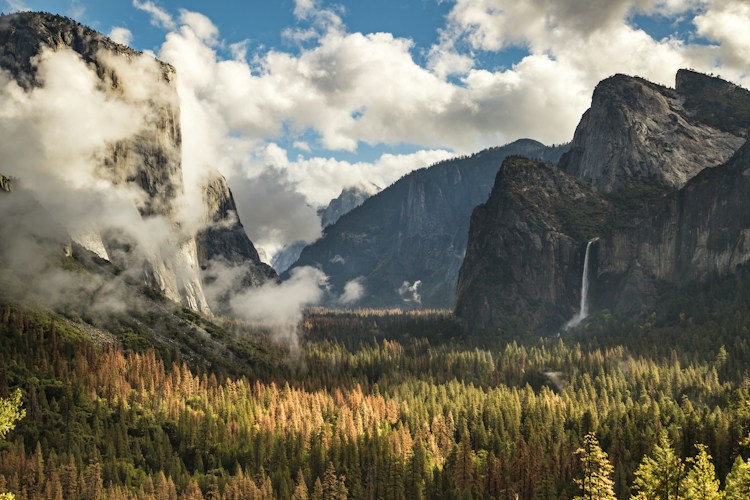 Yosemite National Park: California's Granite Wonderland