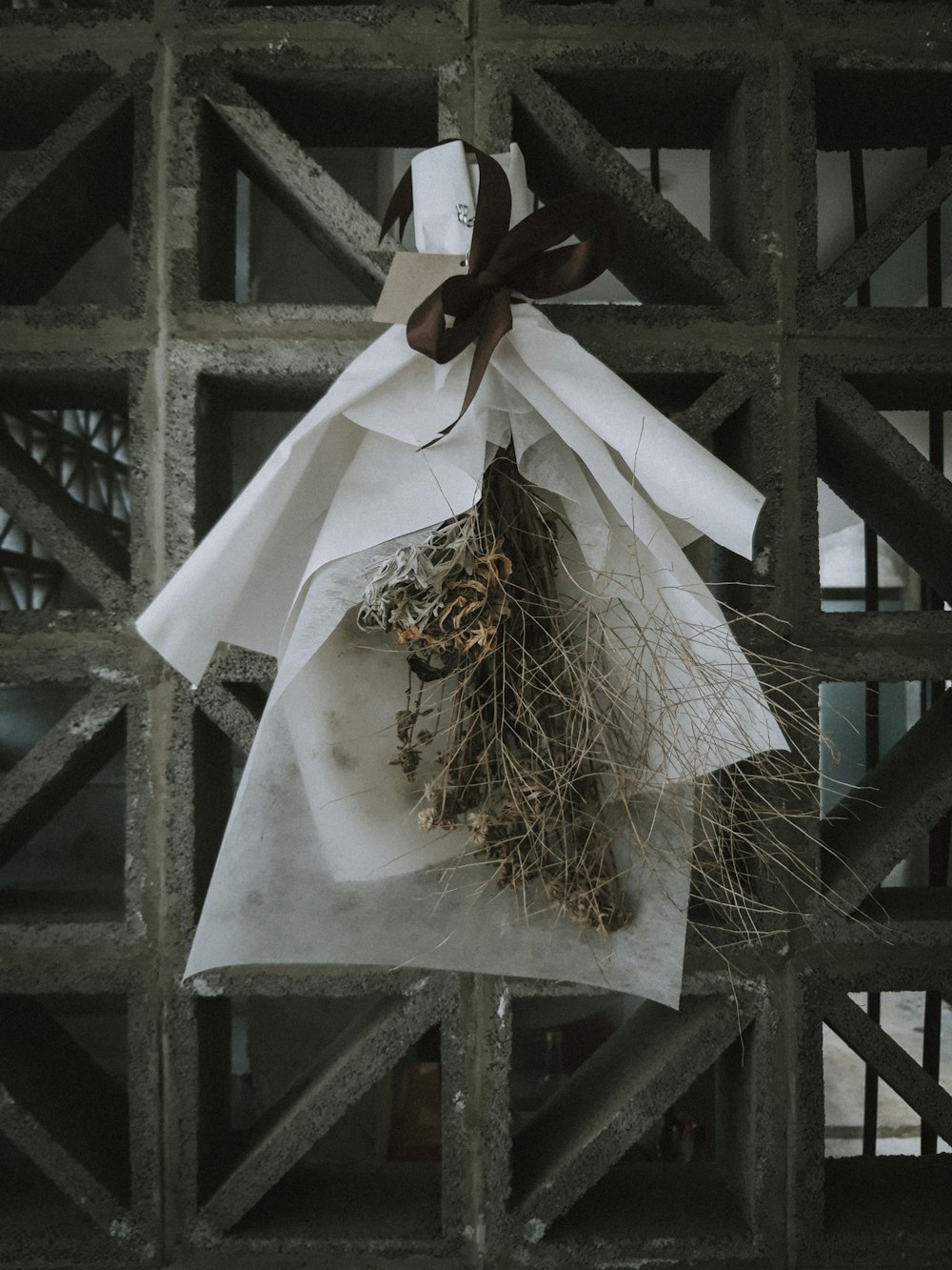 brown dried plant on white paper