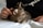 A small, striped tabby cat sits contentedly on a bed, with one person's hand gently petting its head. The cat's eyes are closed, indicating relaxation and comfort. The person is wearing a dark shirt with partial text visible.