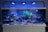 A large aquarium filled with diverse corals and marine life, illuminated by blue overhead lights. The tank features a rich array of coral species with various shapes and textures, and a brightly colored yellow fish swimming amongst them. The background is a deep blue, enhancing the vibrant colors of the corals and marine life.