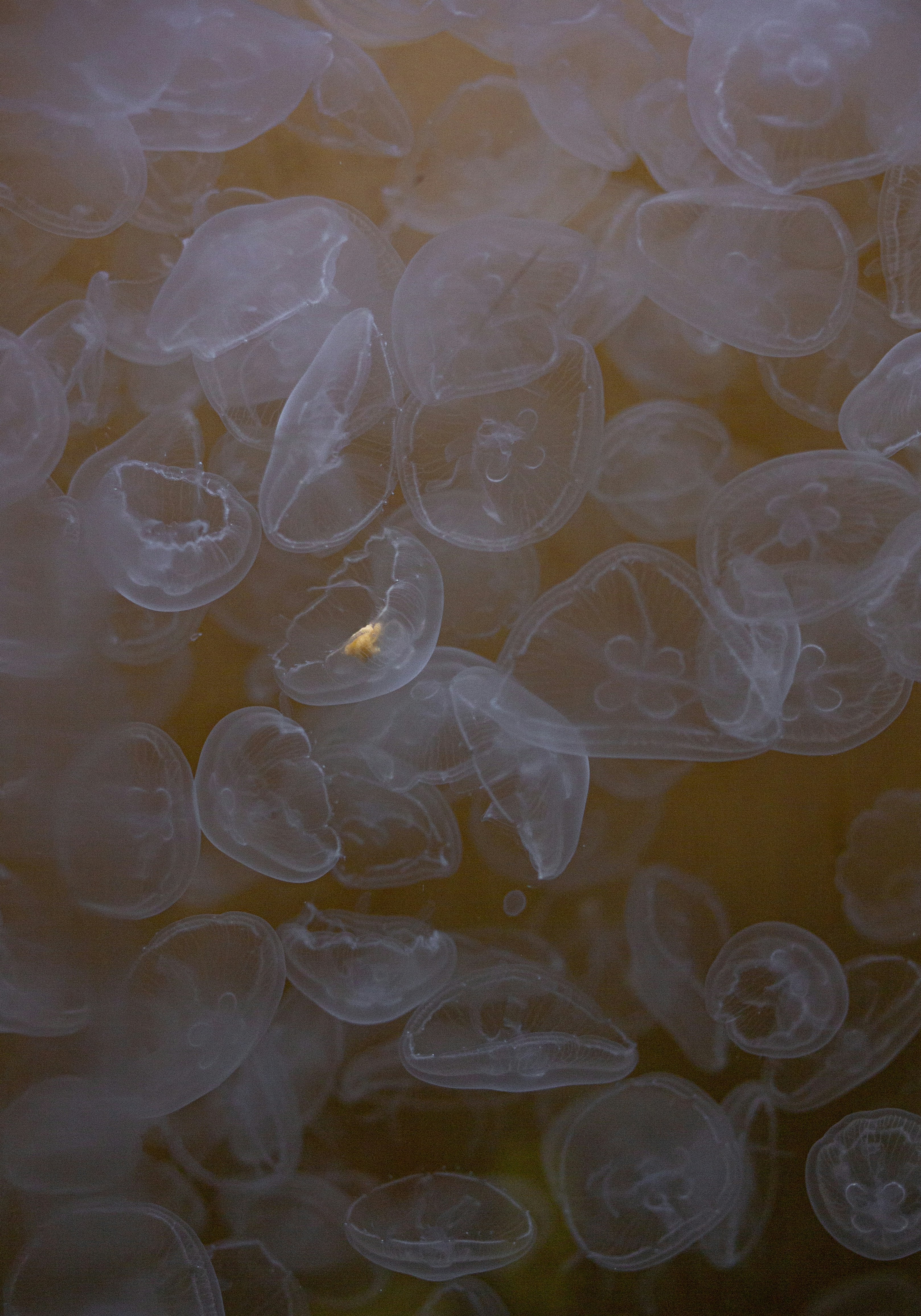 Photo by vinomamba24