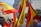 Brightly colored Spanish flags are prominently displayed, with people gathered around in a public space. The setting appears to be a lively event, with flags waving in the air. The background features urban architecture, including a cylindrical building and greenery.