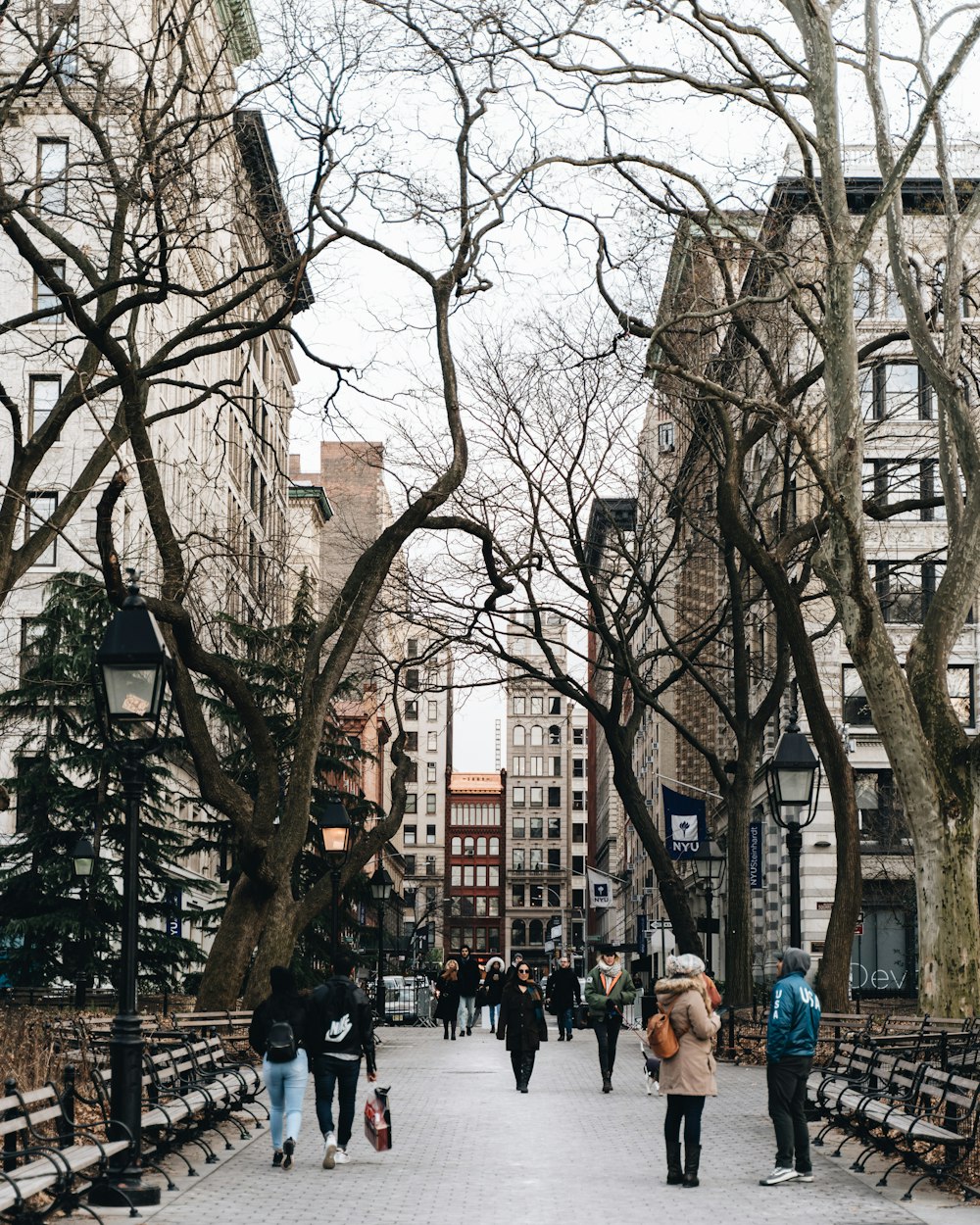 people walking on sidewalk near bare trees during daytime