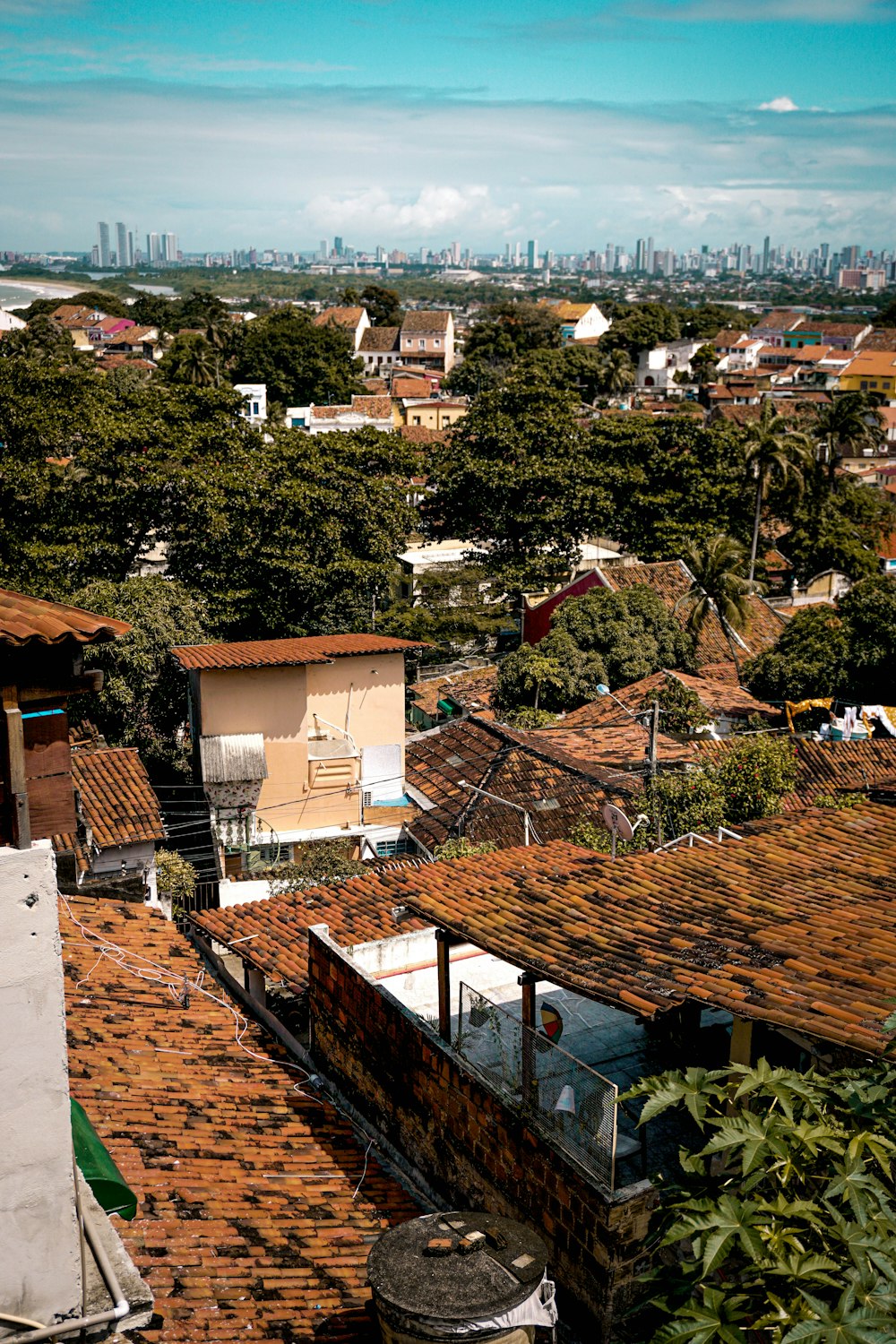 Maisons en béton brun et blanc près d’arbres verts pendant la journée