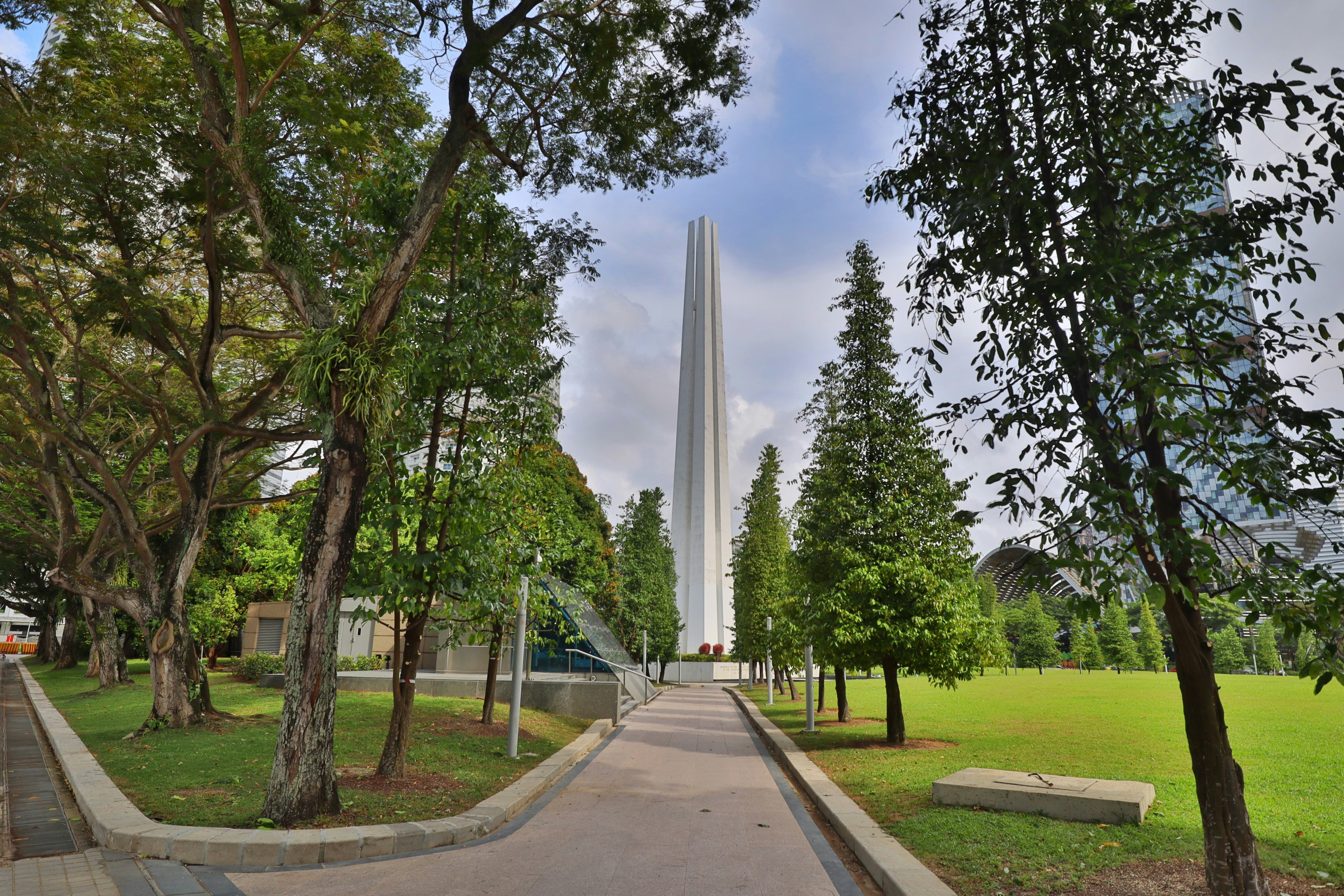 arbol forestal II